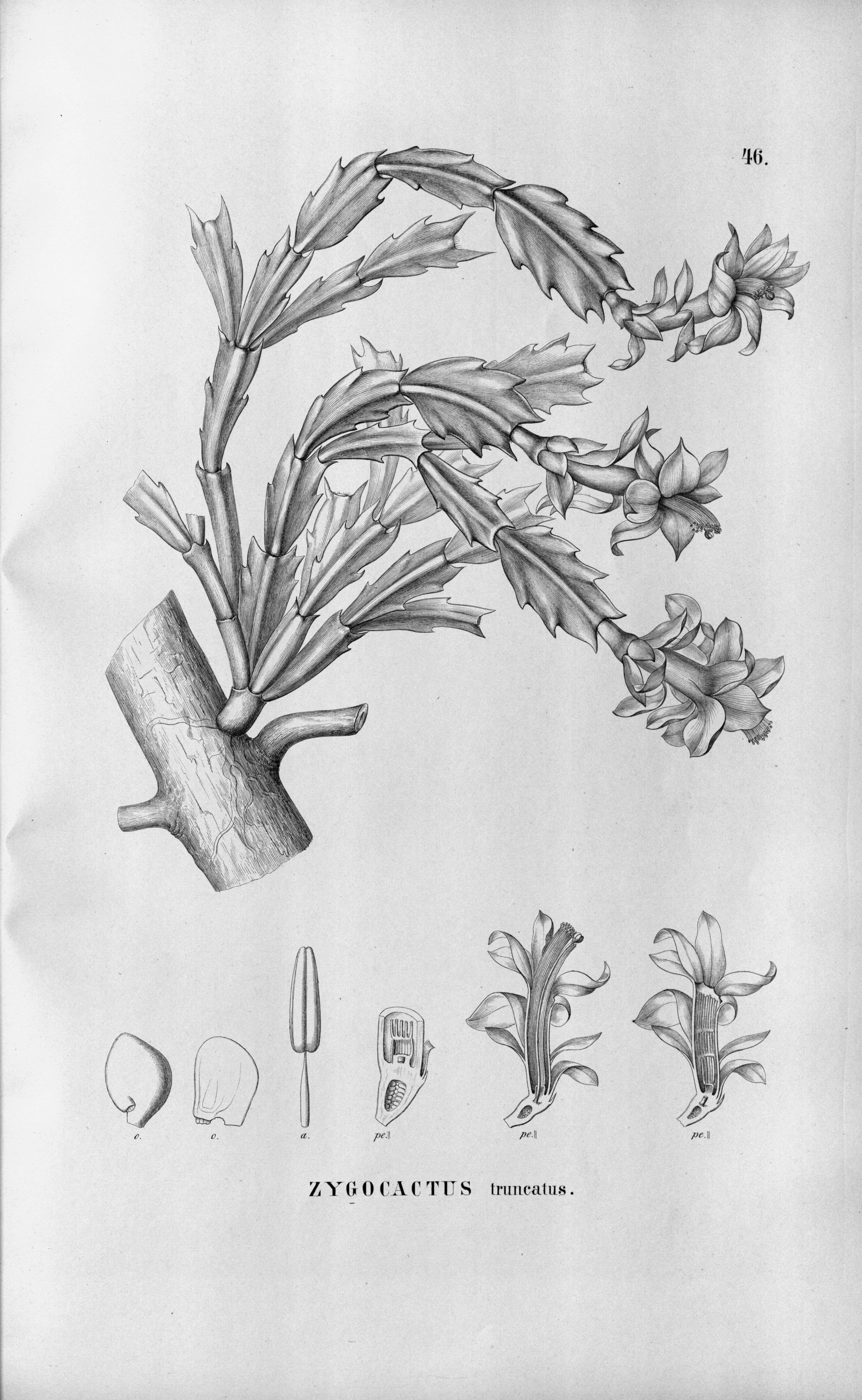 no full size  illustration available (3a)