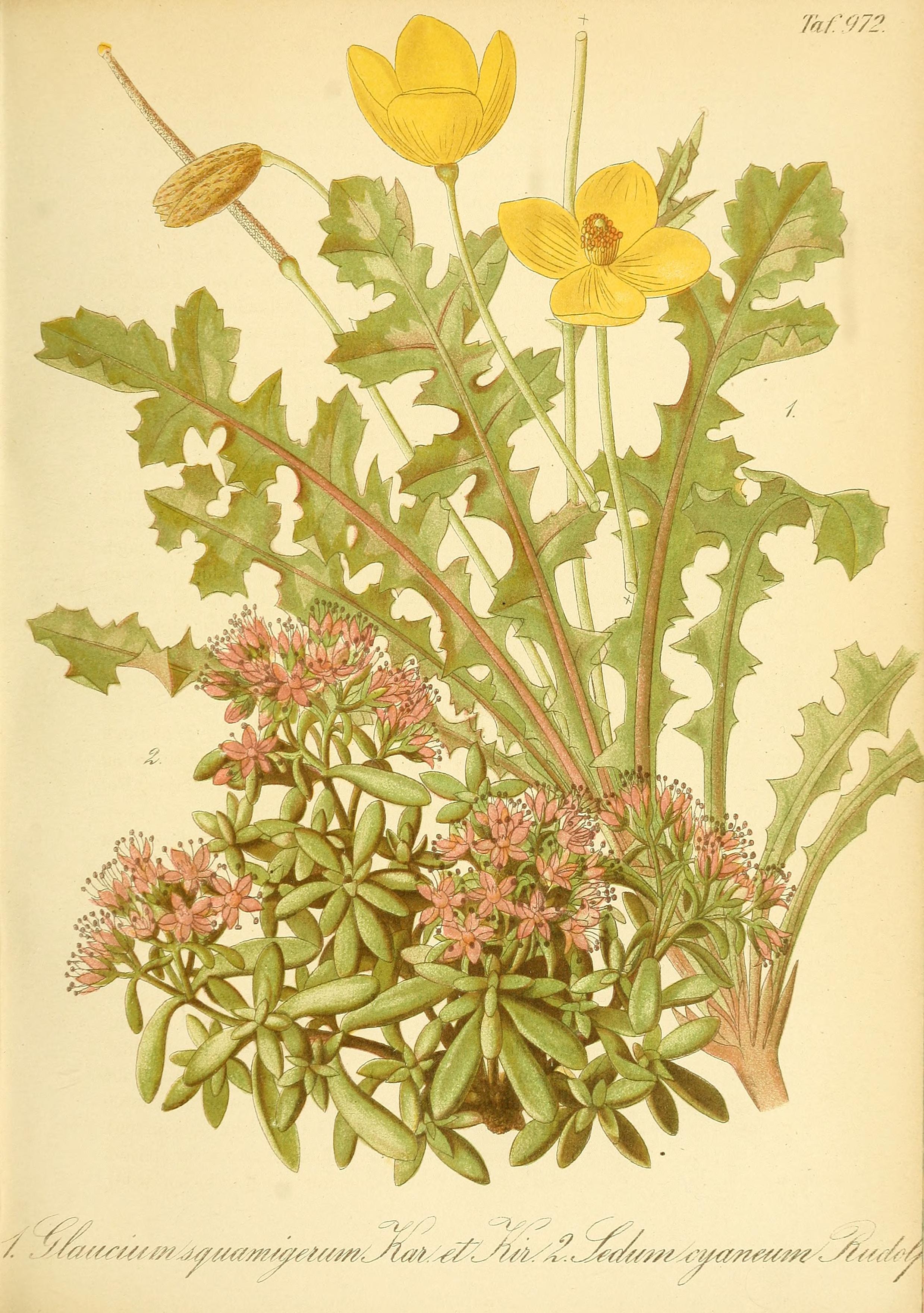 no full size  illustration available (3a)