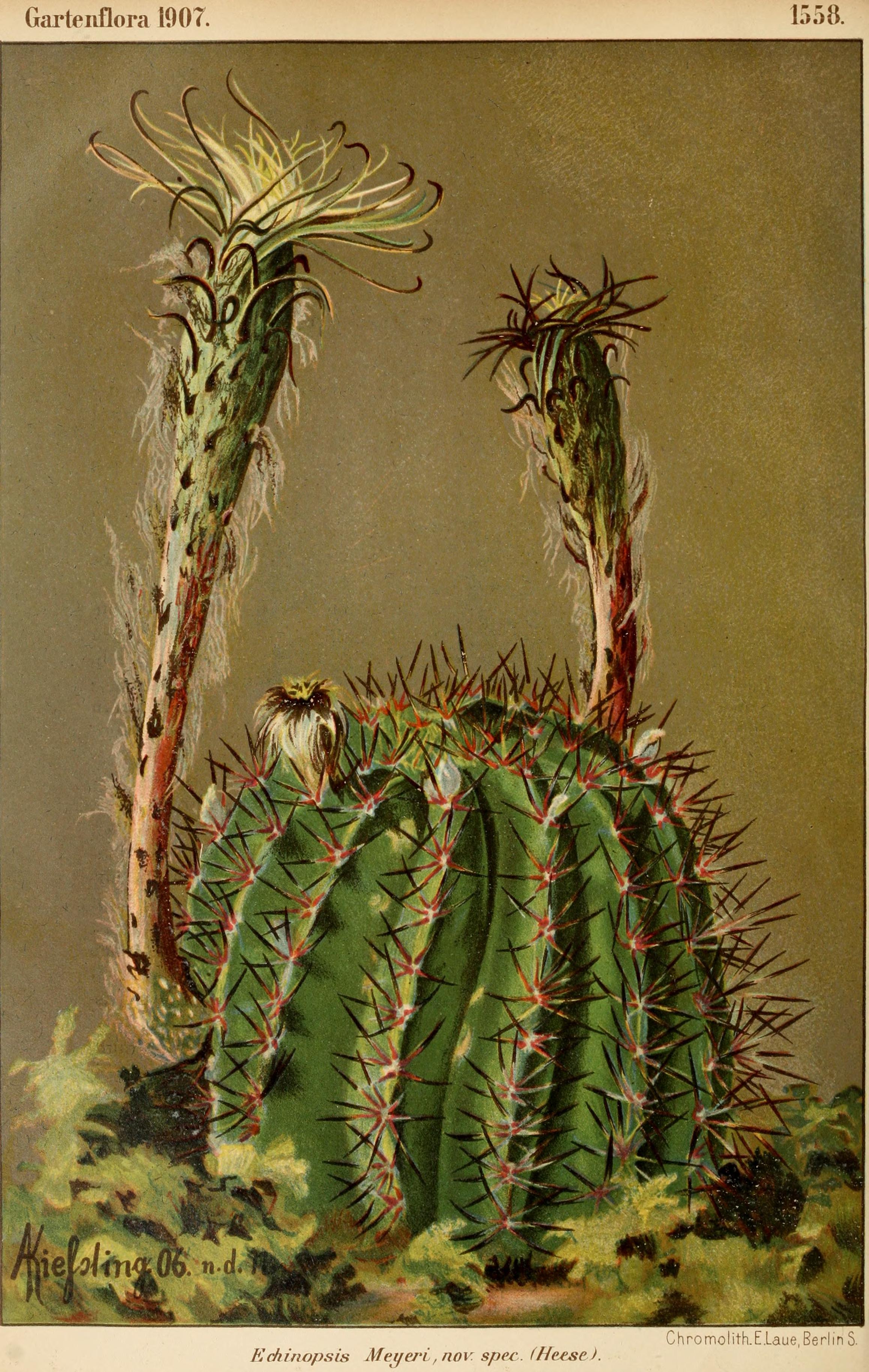 no full size  illustration available (3a)