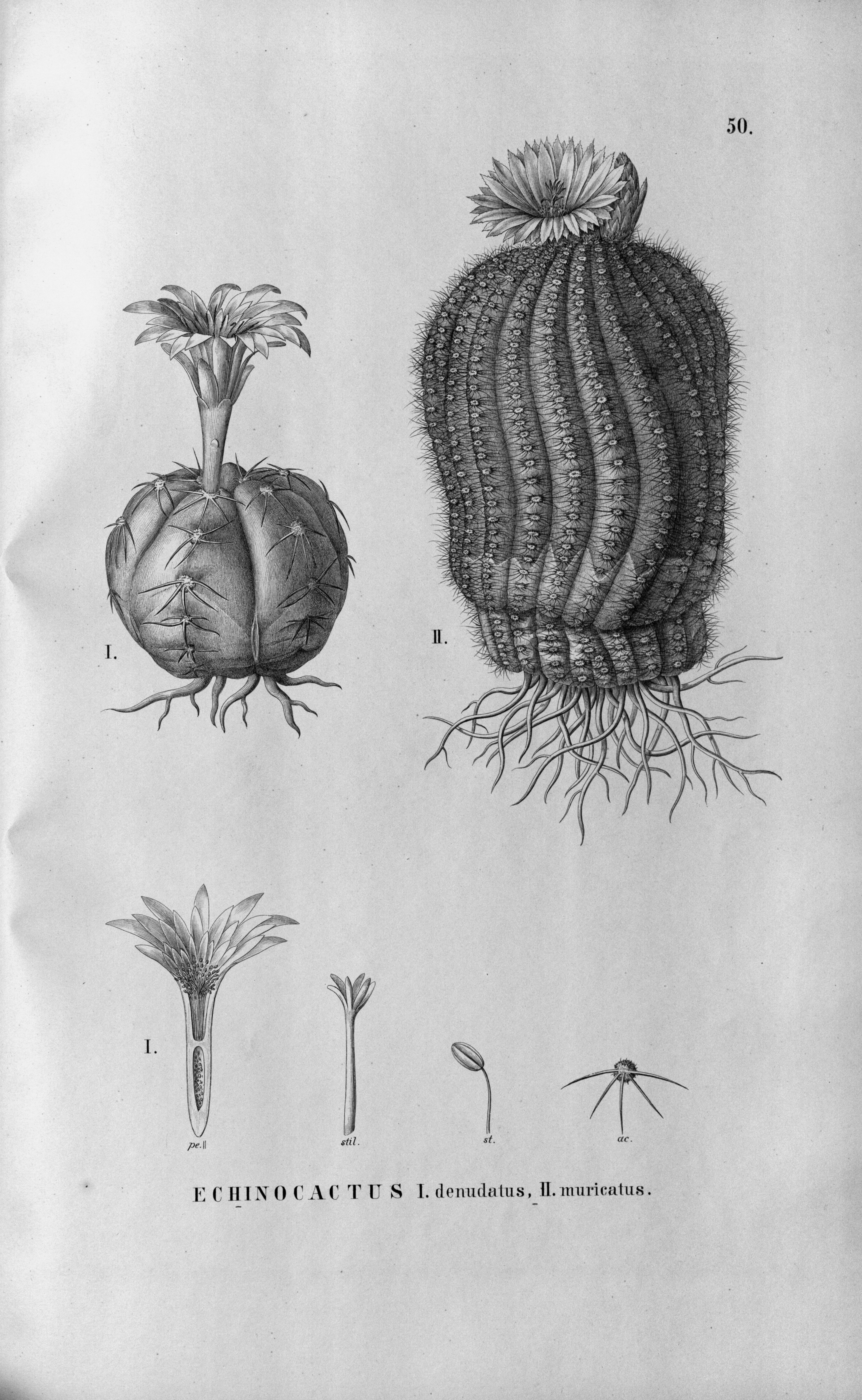 no full size  illustration available (3a)