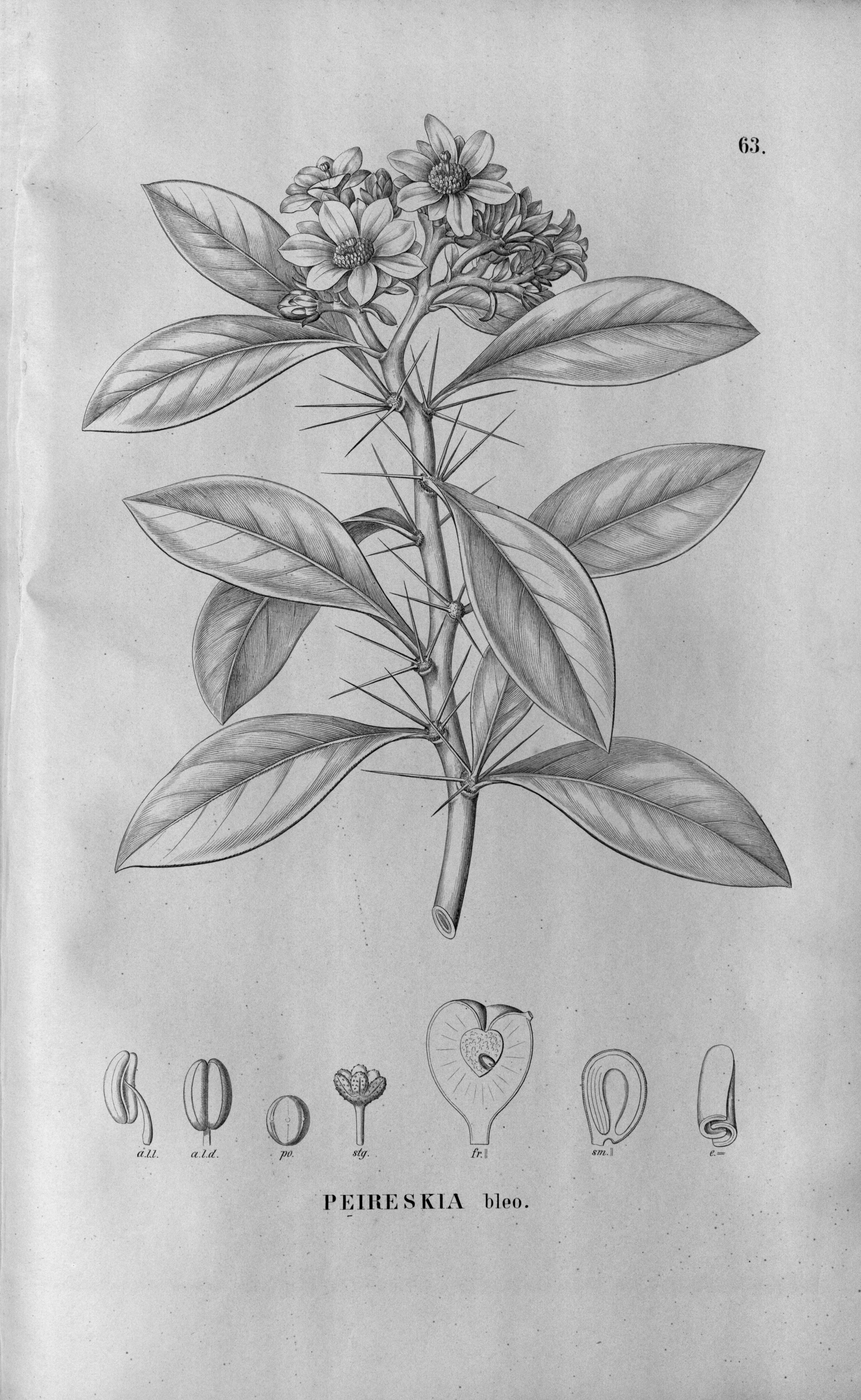 no full size  illustration available (3a)