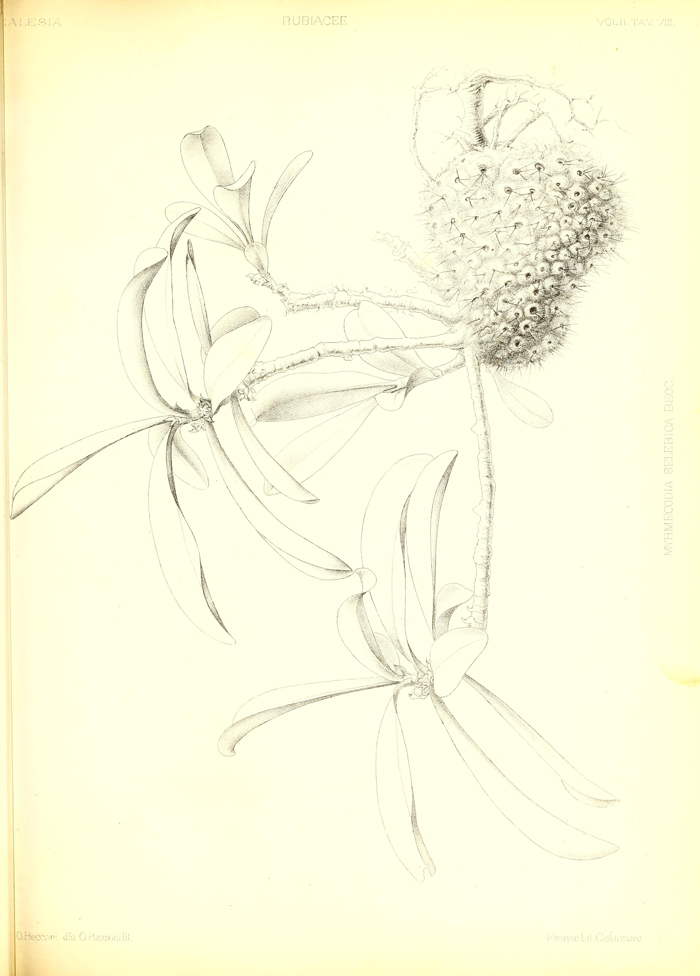 no full size  illustration available (3a)