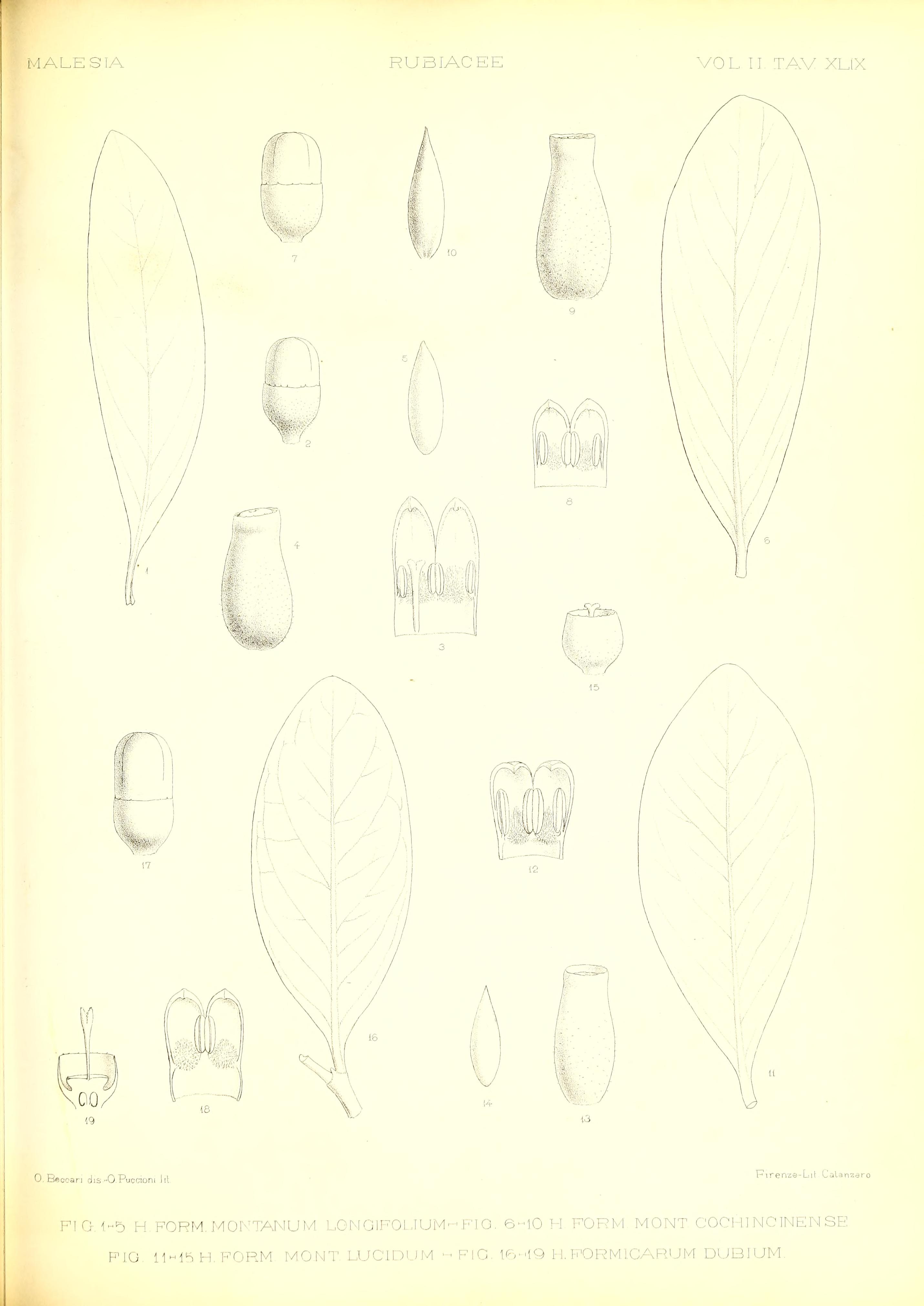 no full size  illustration available (3a)