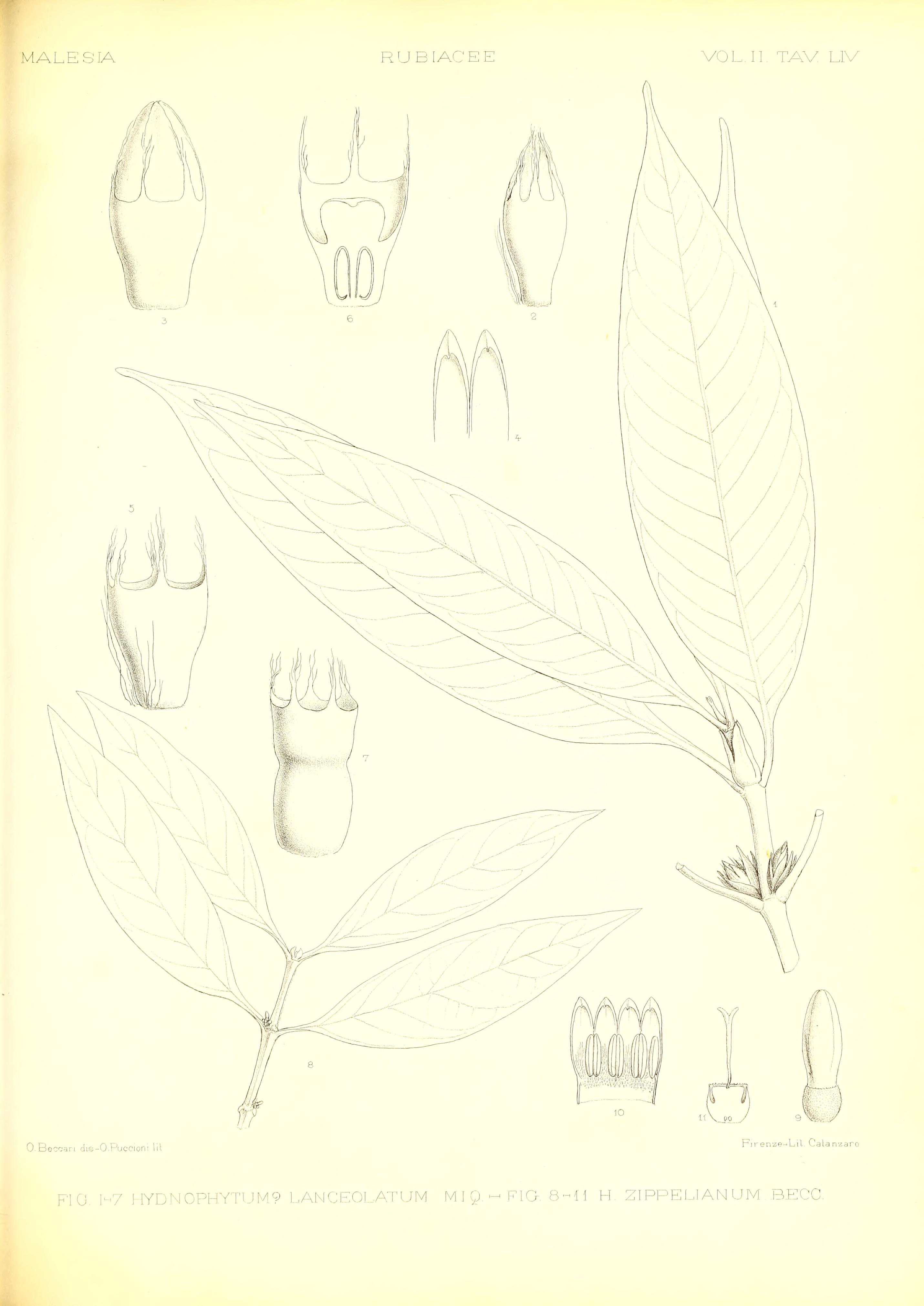 no full size  illustration available (3a)