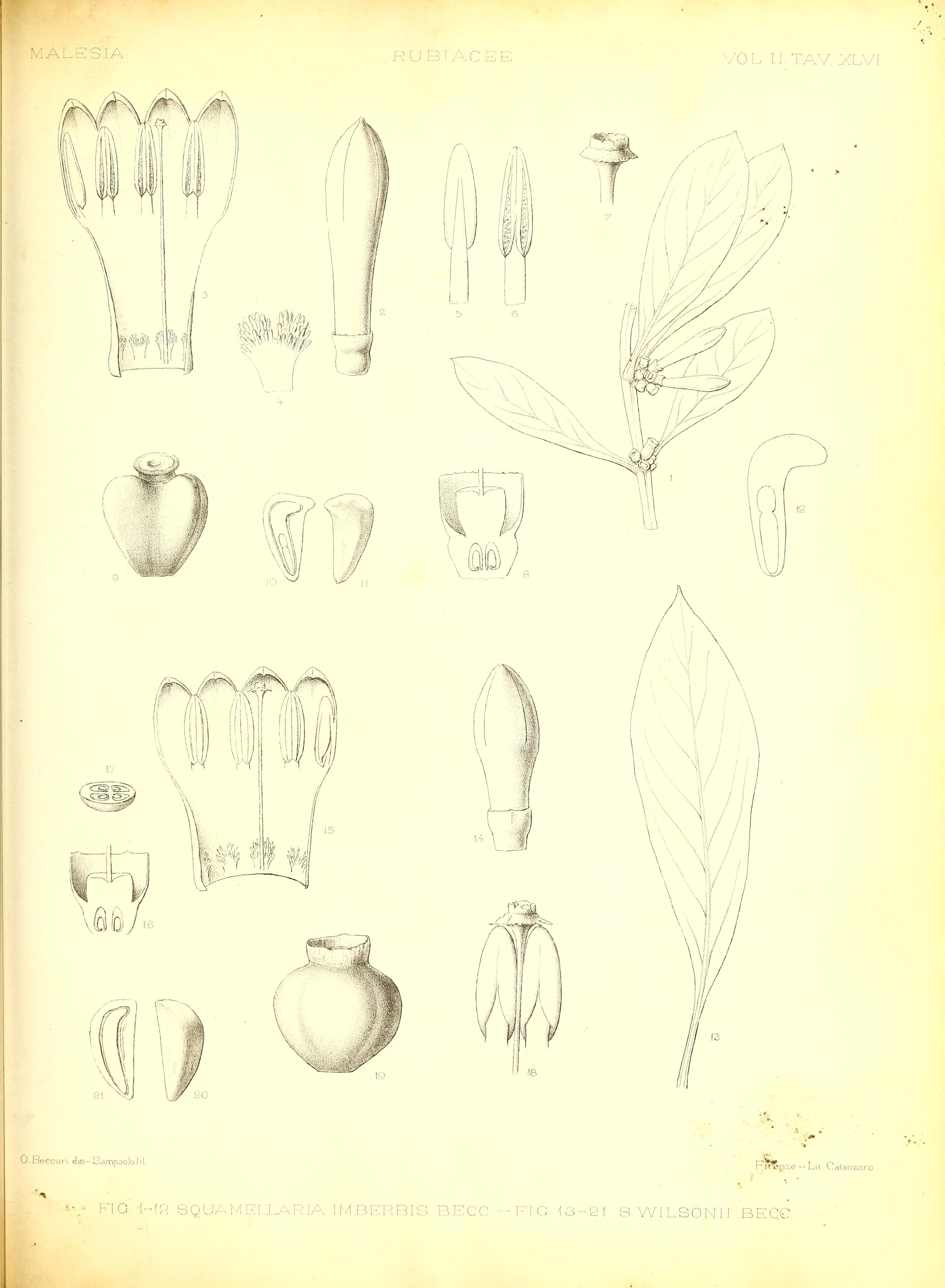 no full size  illustration available (3a)