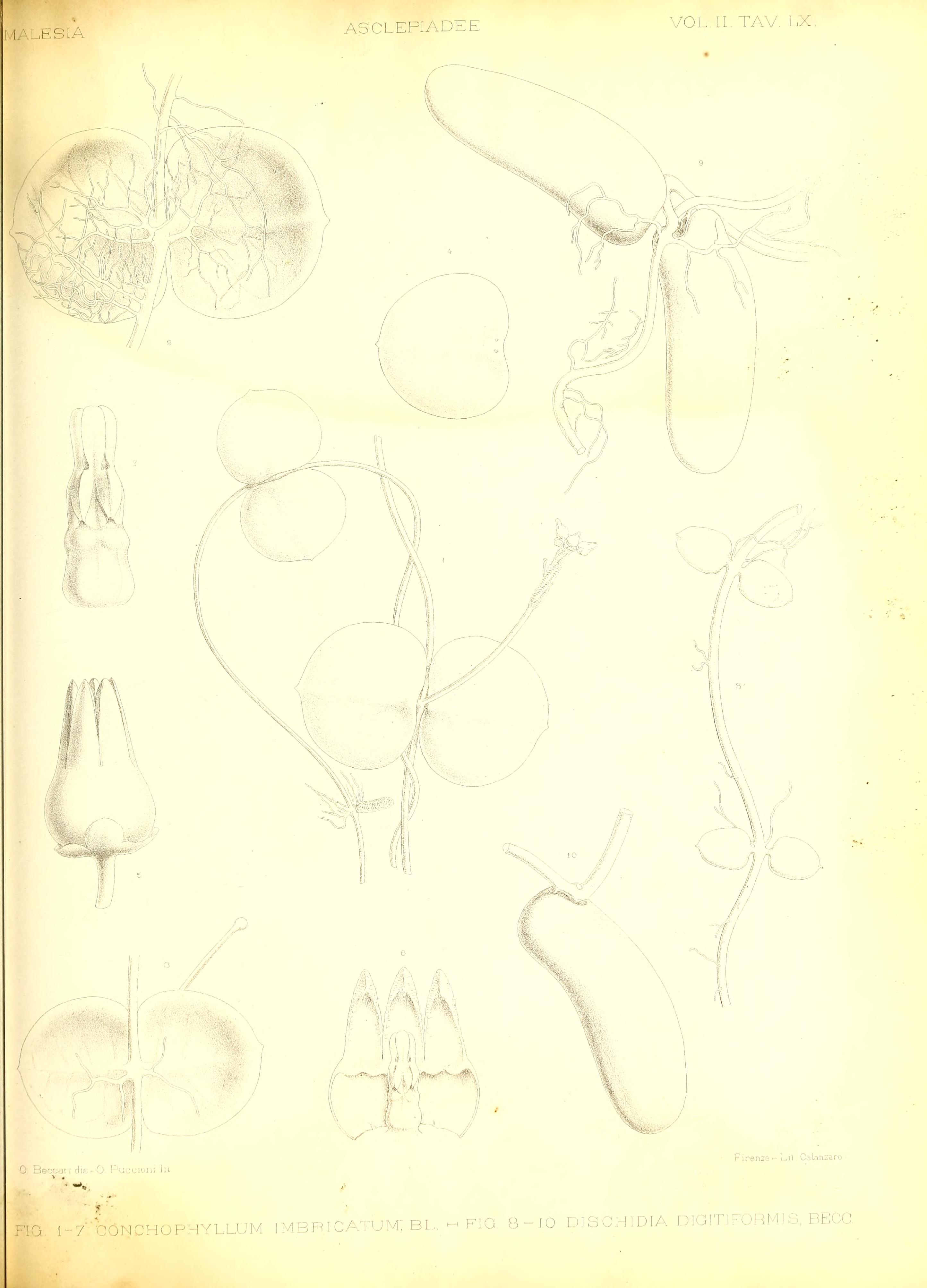 no full size  illustration available (3a)