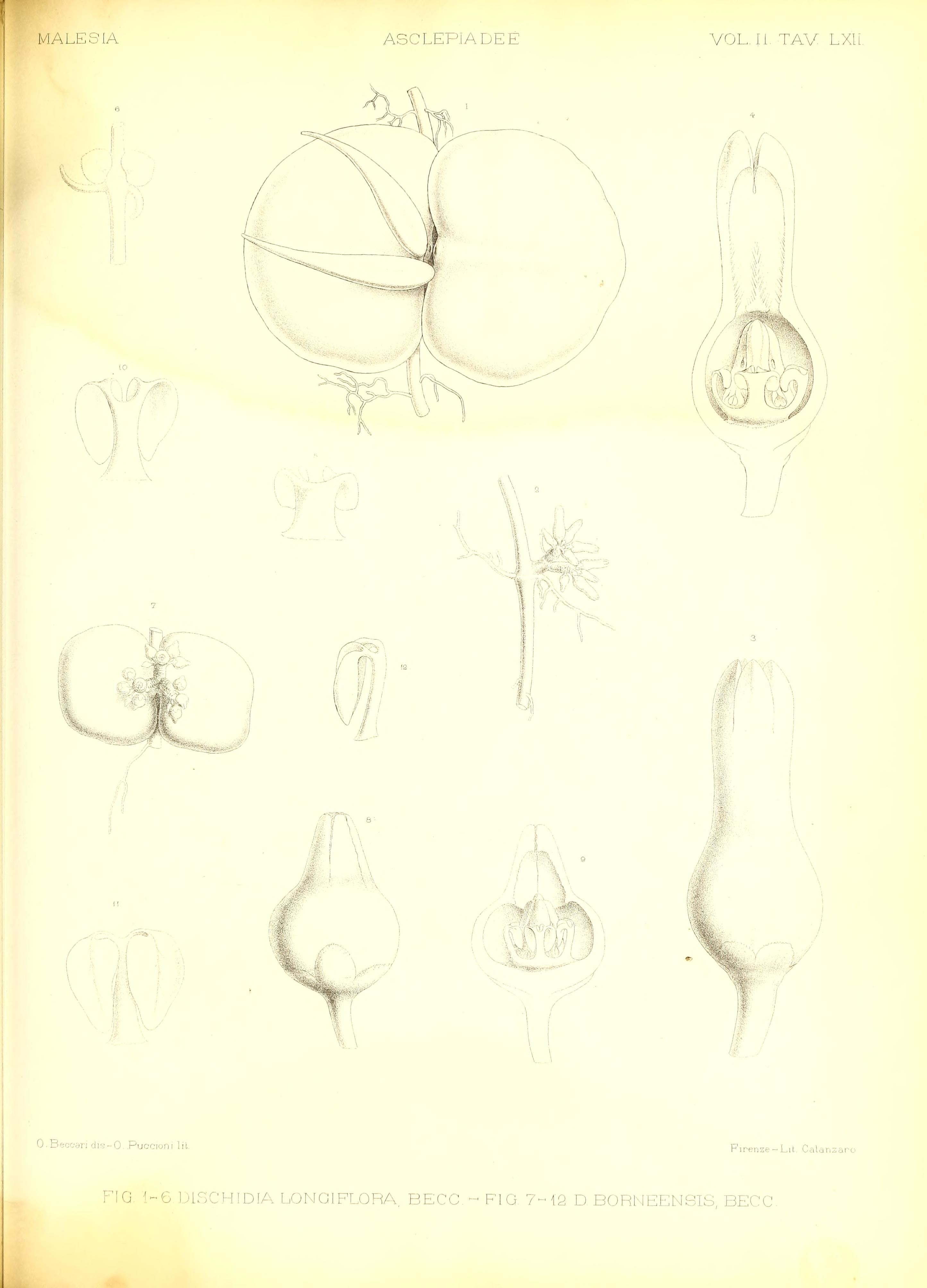 no full size  illustration available (3a)