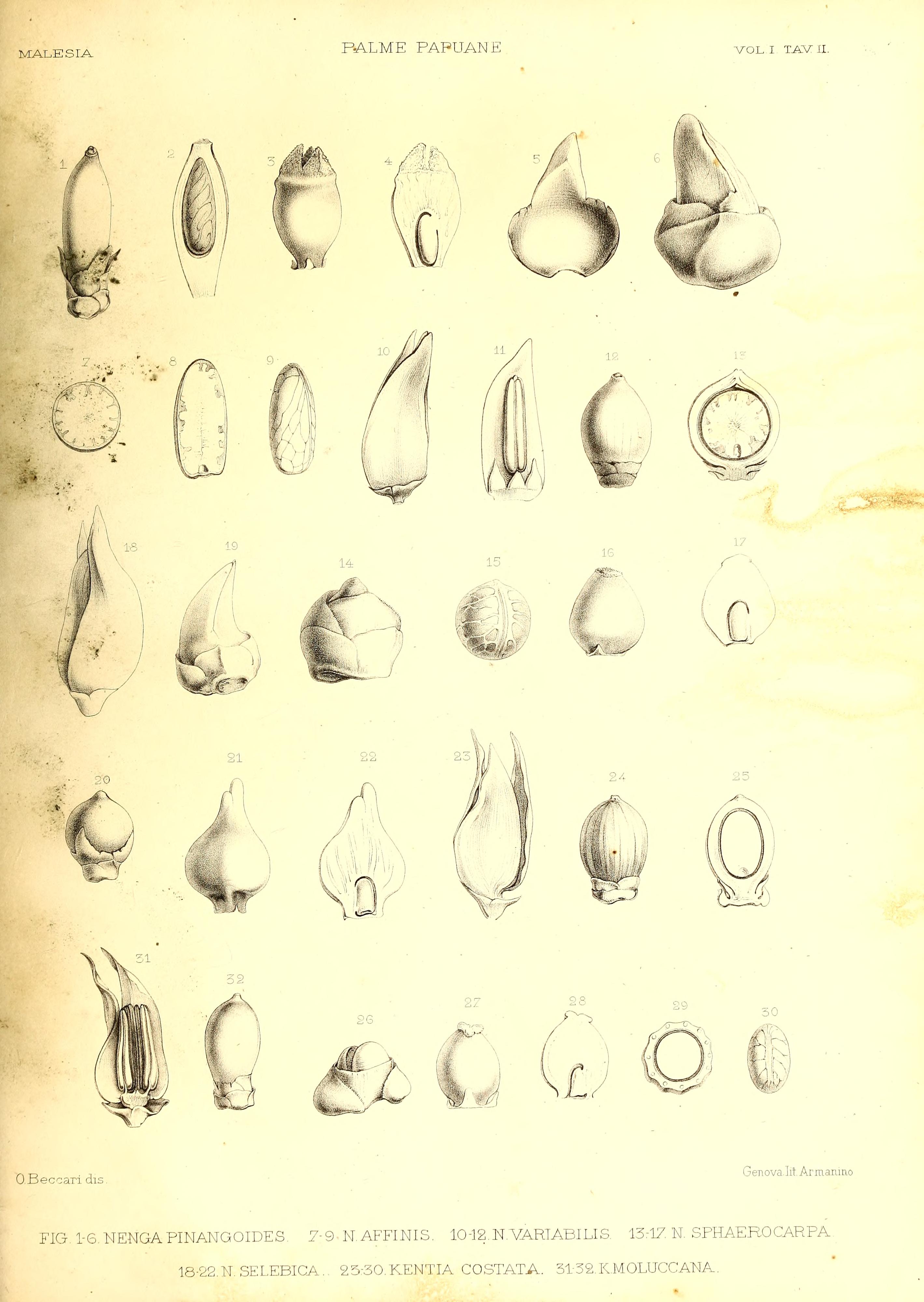 no full size  illustration available (3a)