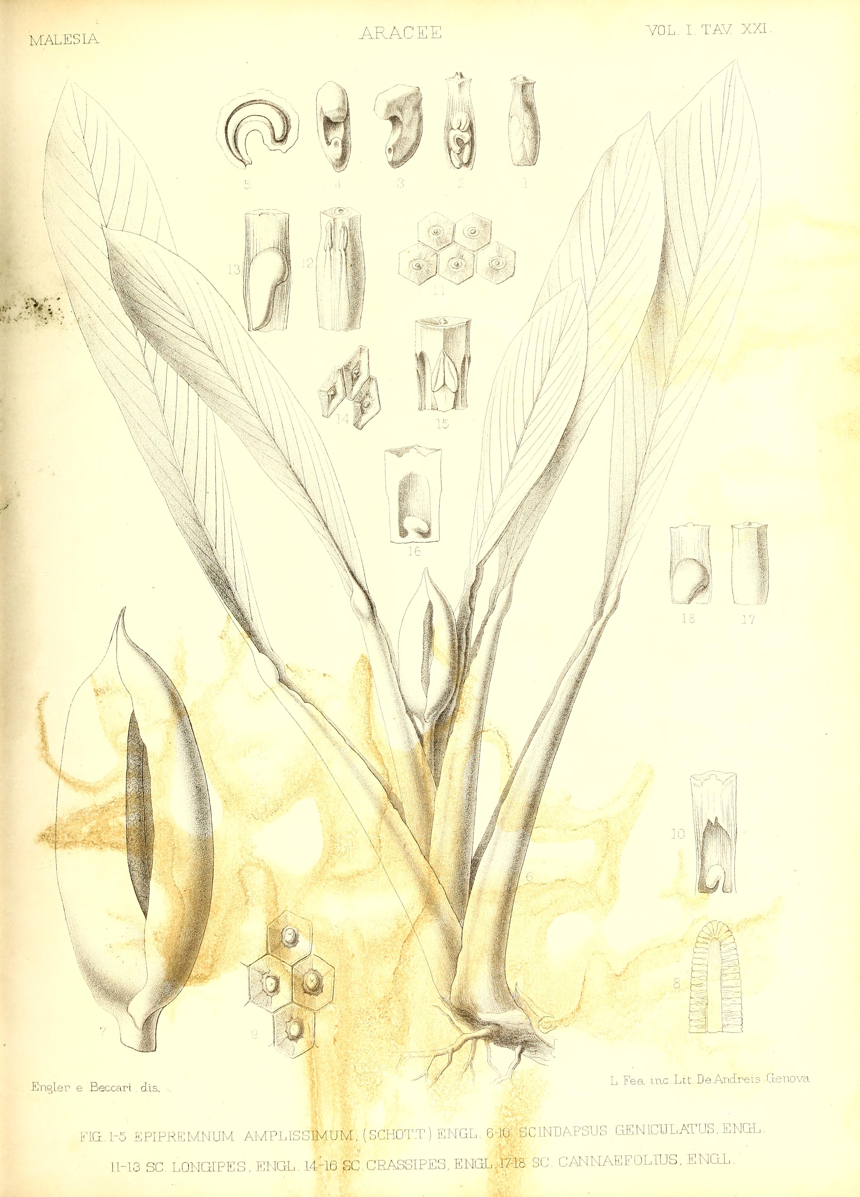 no full size  illustration available (3a)