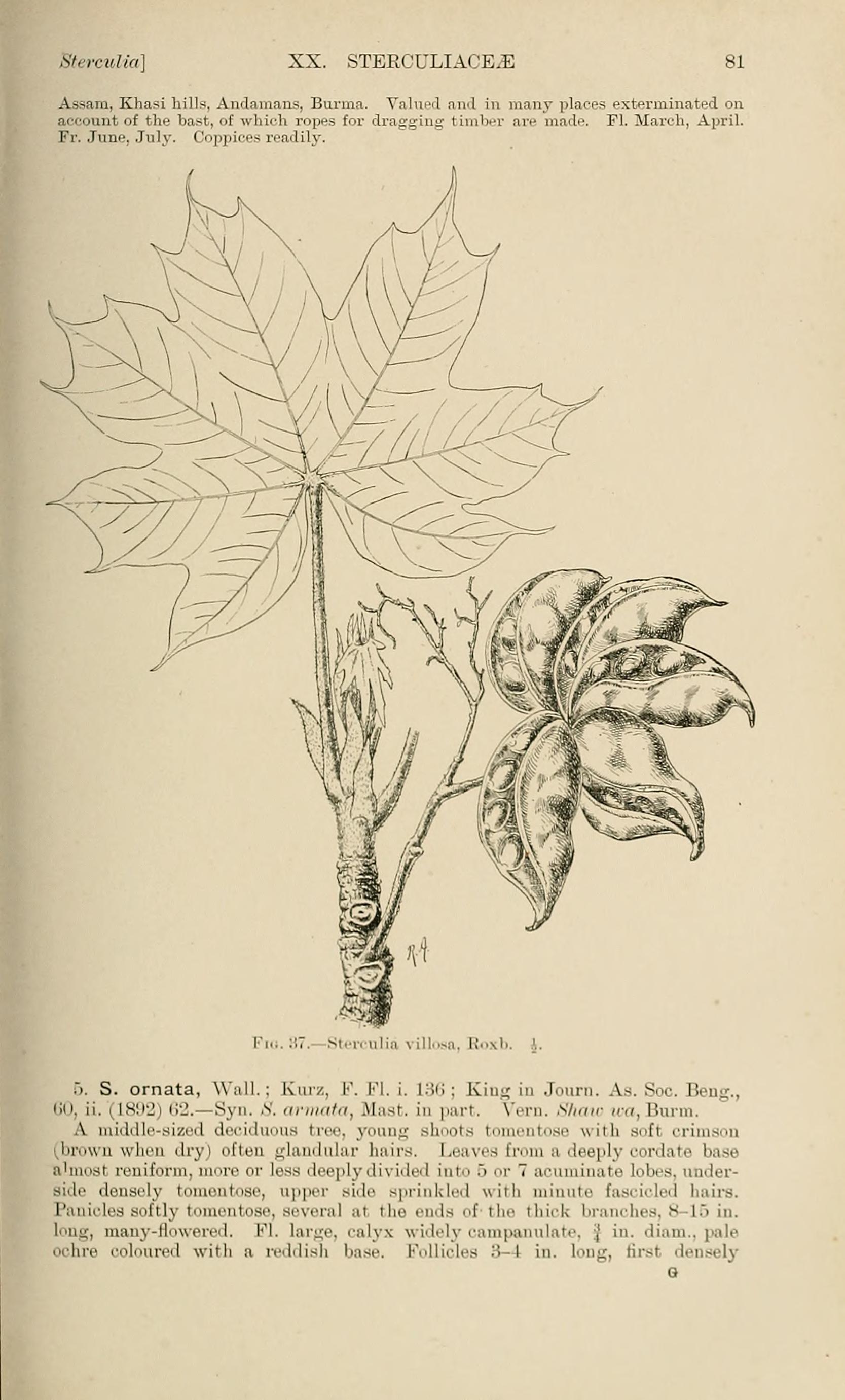 no full size  illustration available (3a)