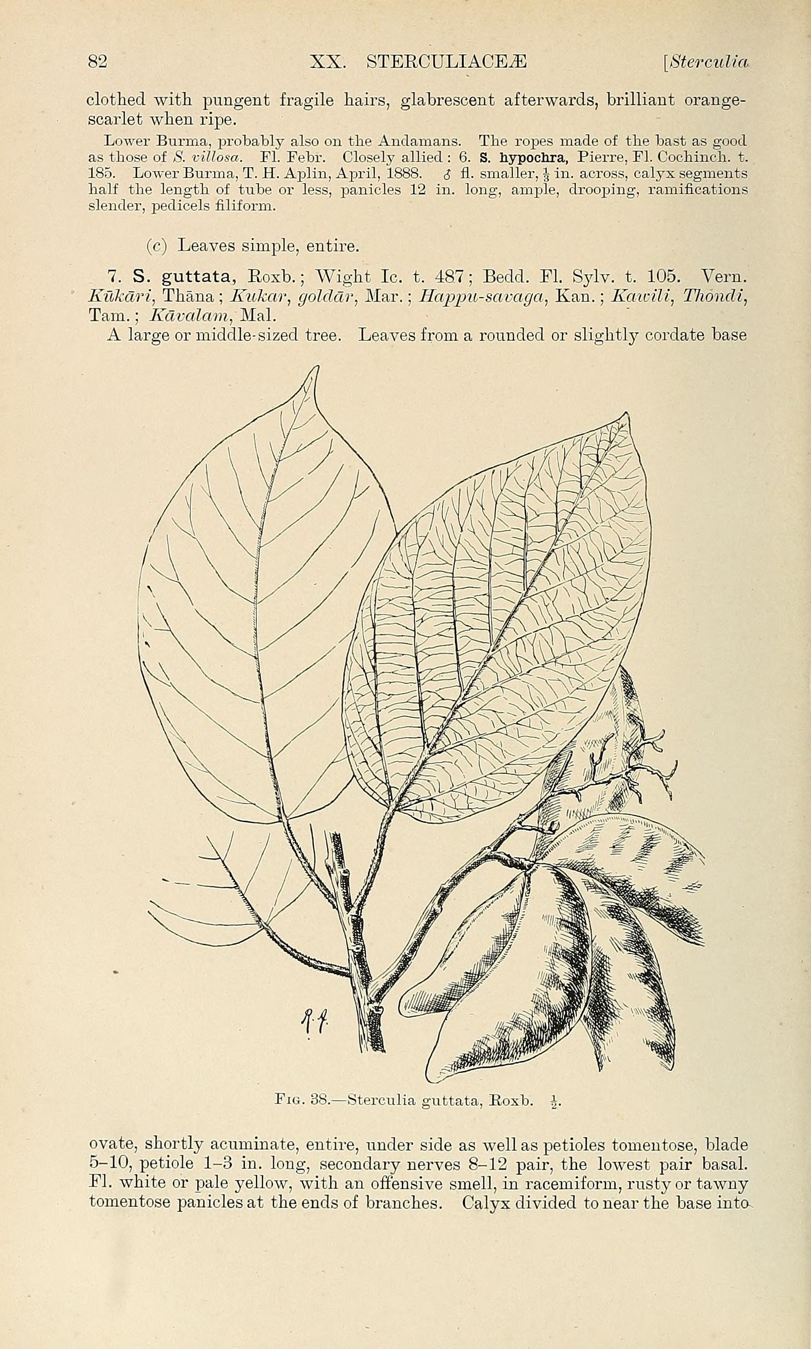 no full size  illustration available (3a)