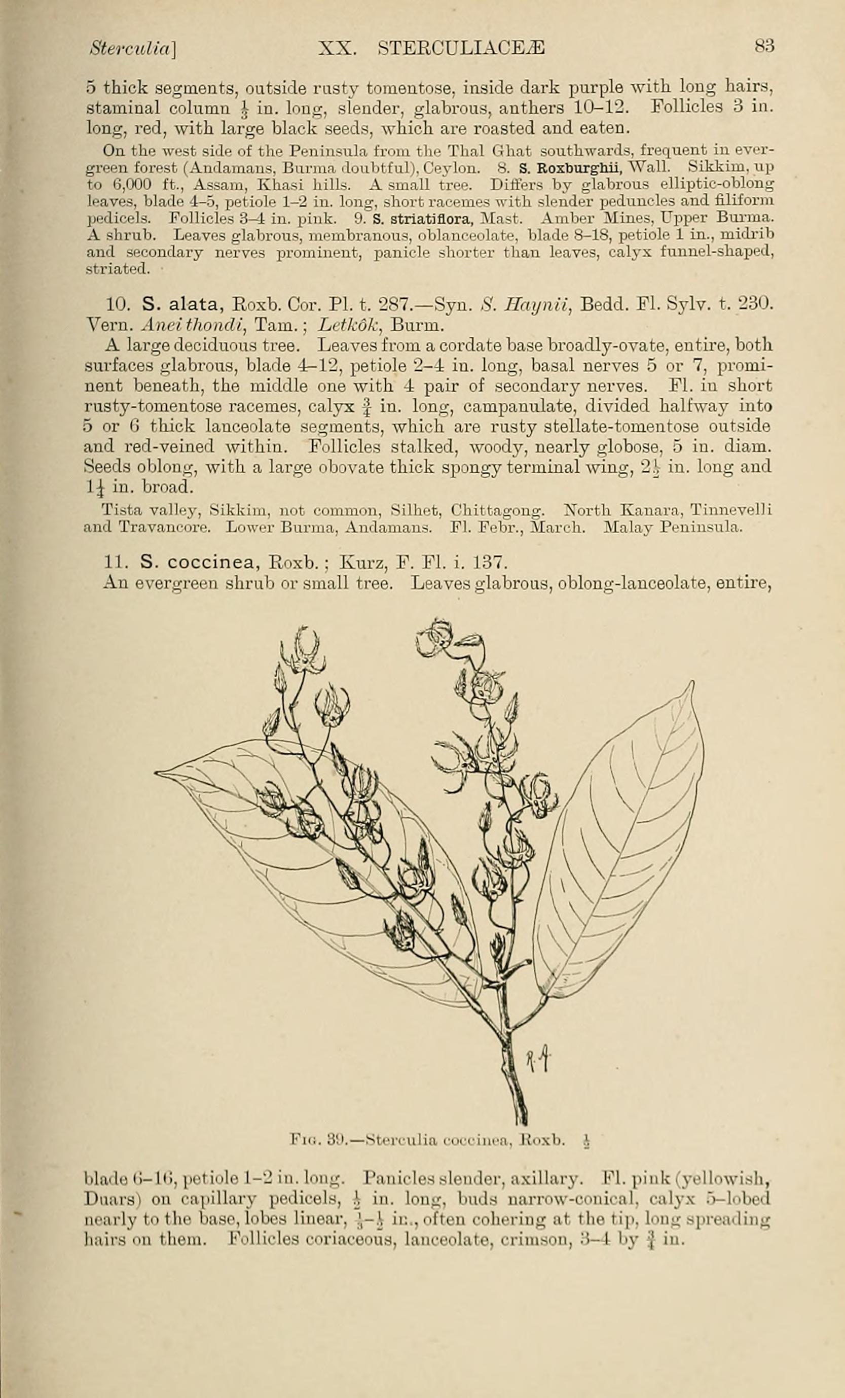 no full size  illustration available (3a)