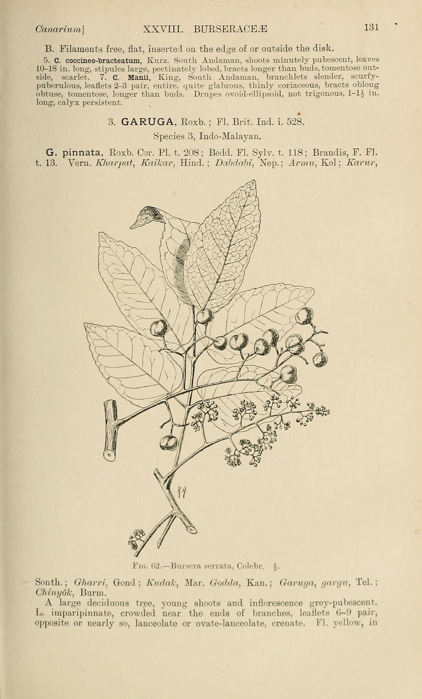 no full size  illustration available (3a)