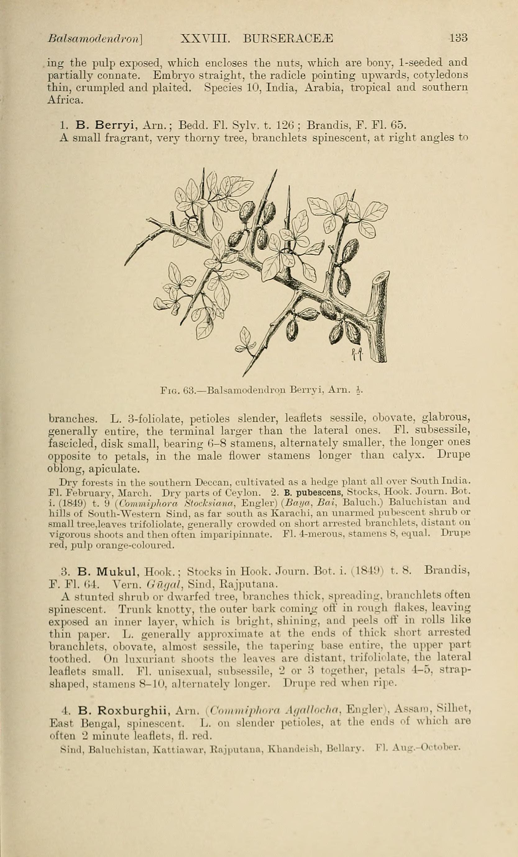 no full size  illustration available (3a)