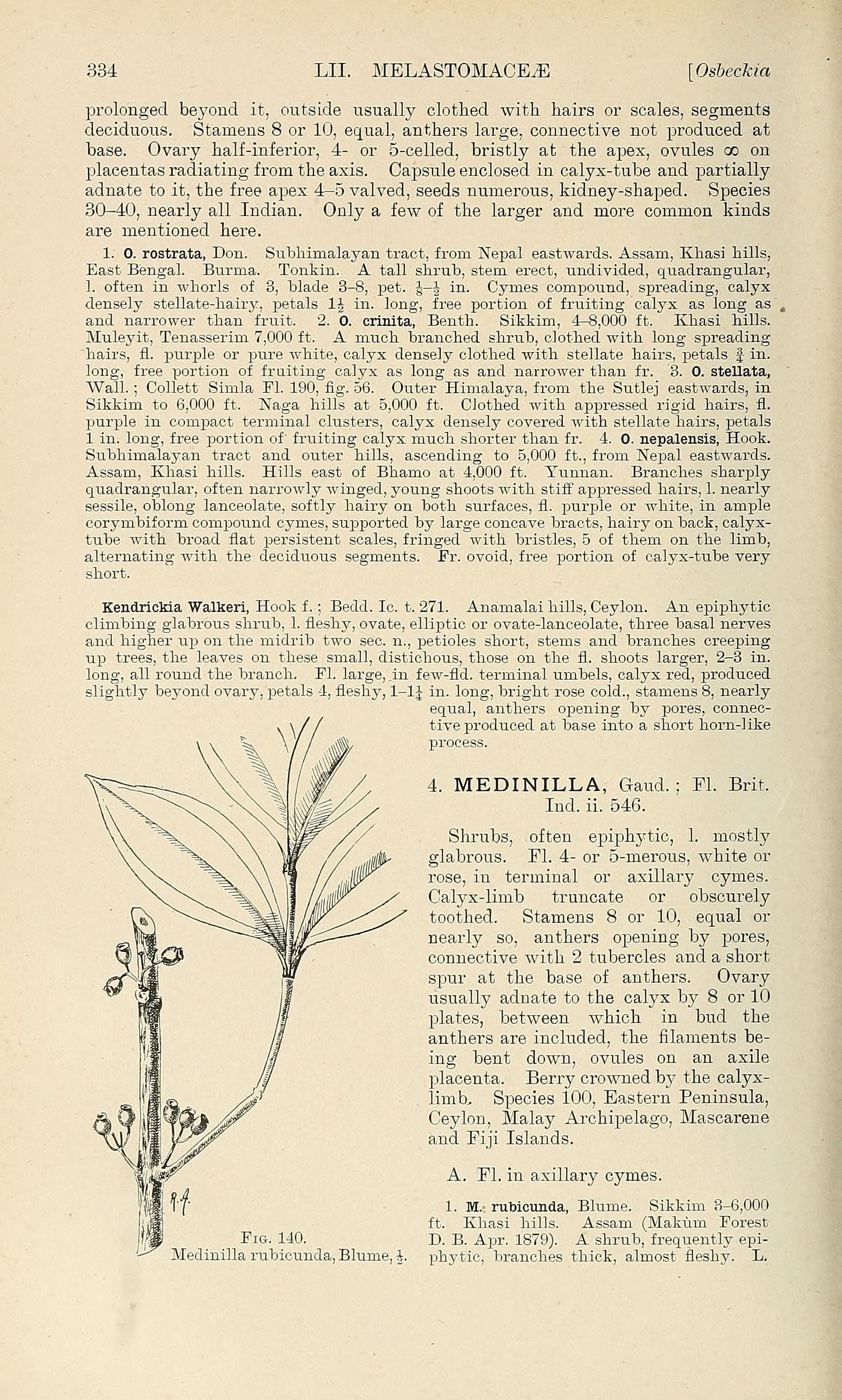 no full size  illustration available (3a)