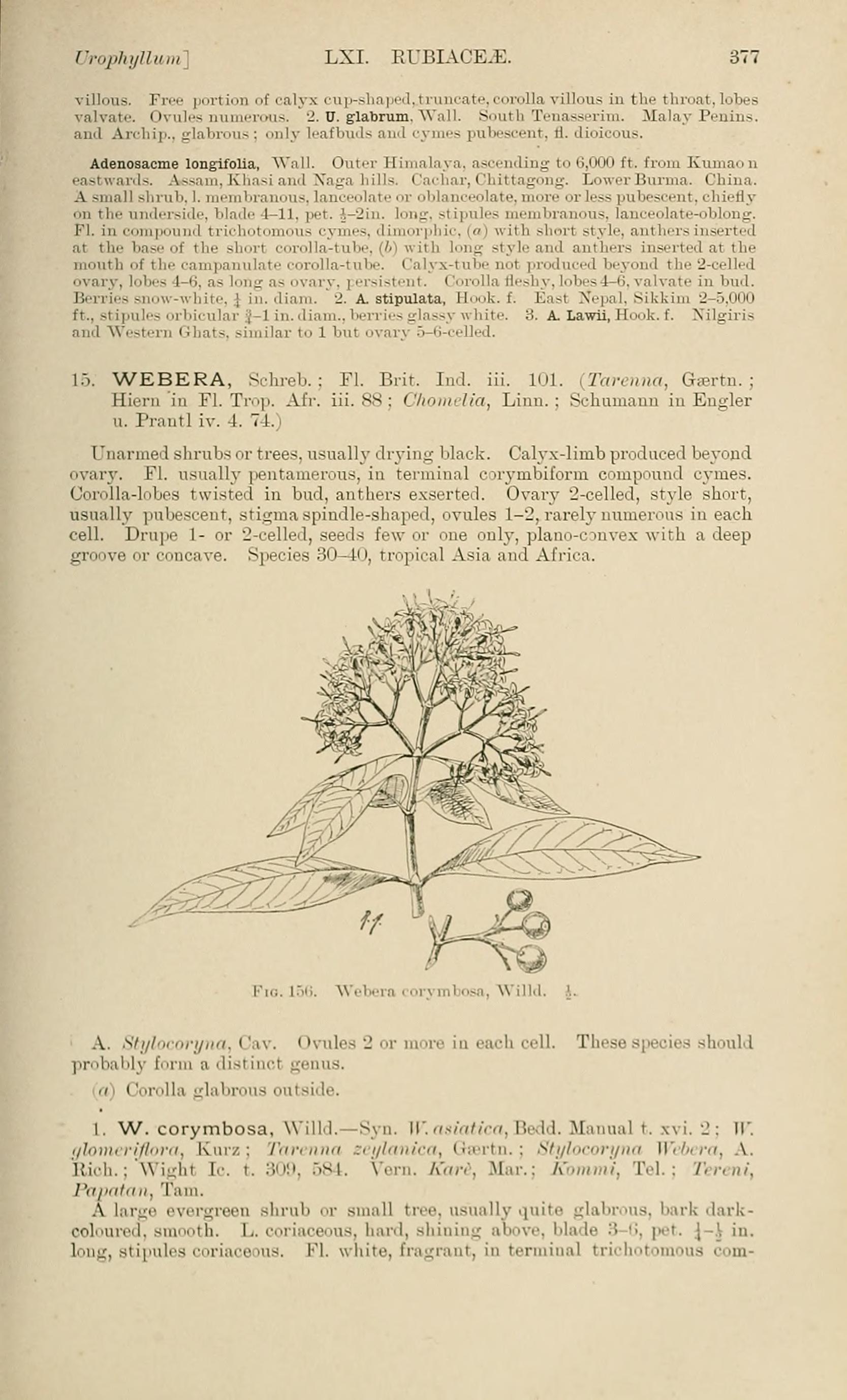 no full size  illustration available (3a)