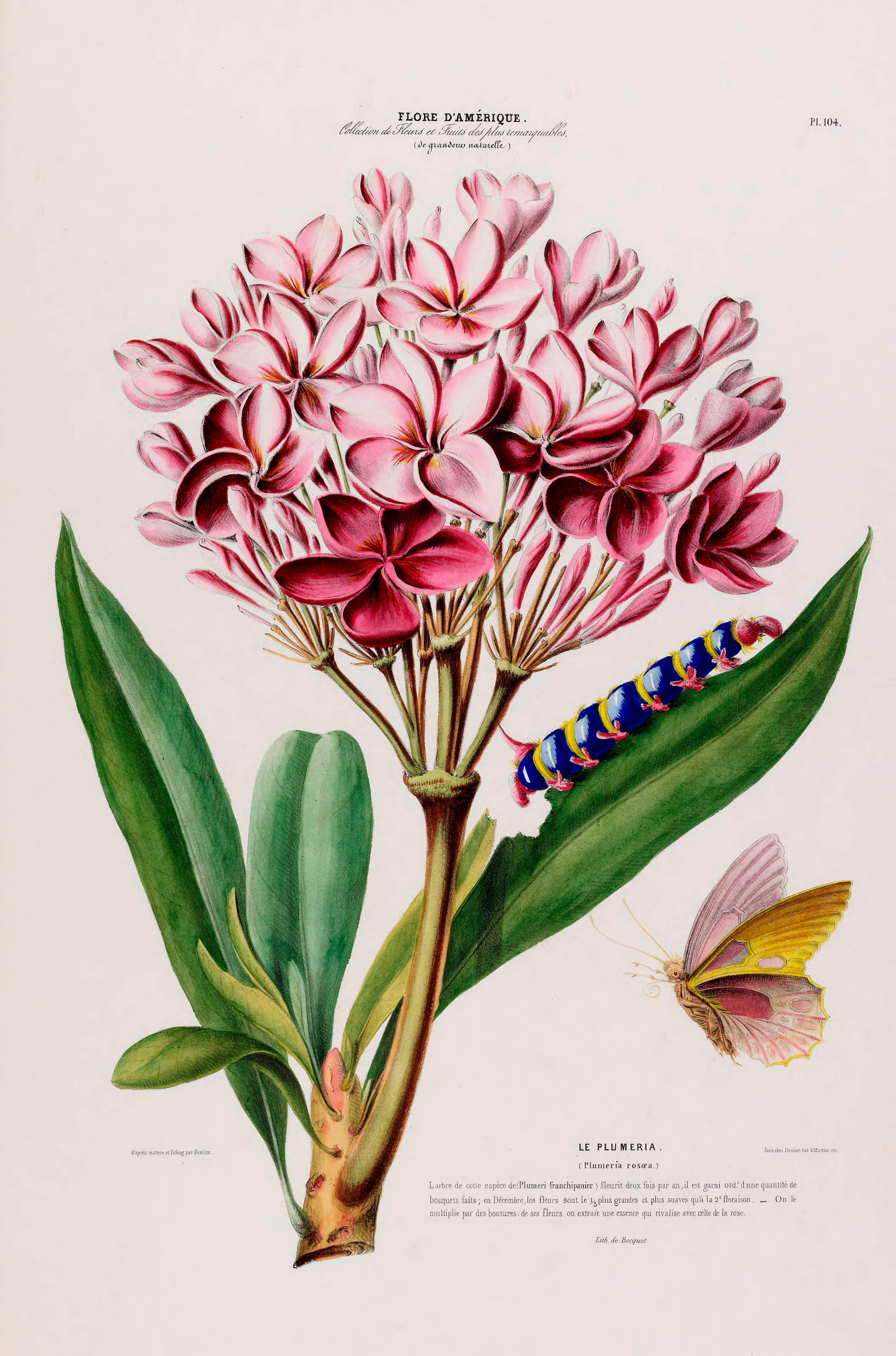 no full size  illustration available (3a)