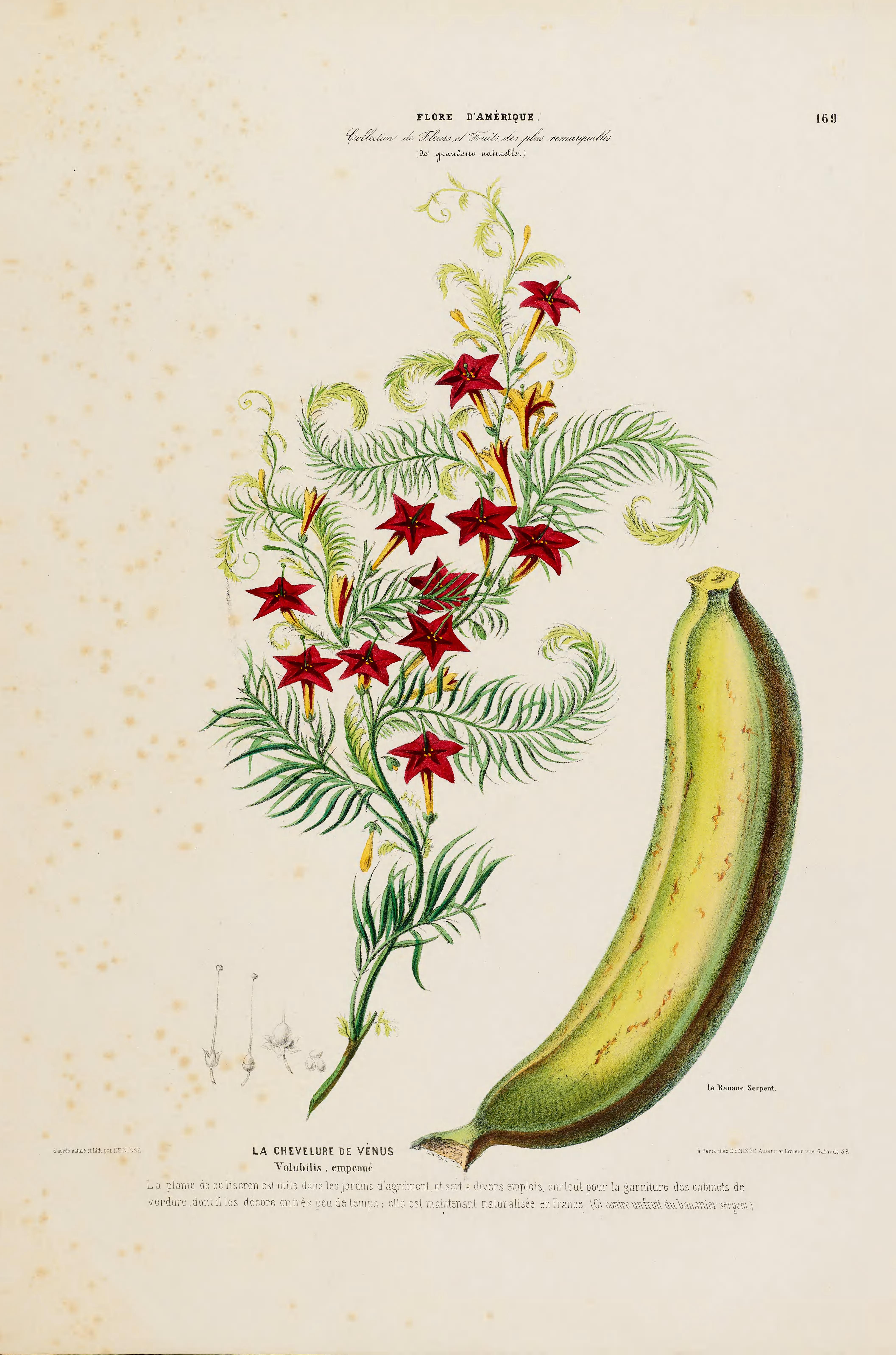 no full size  illustration available (3a)