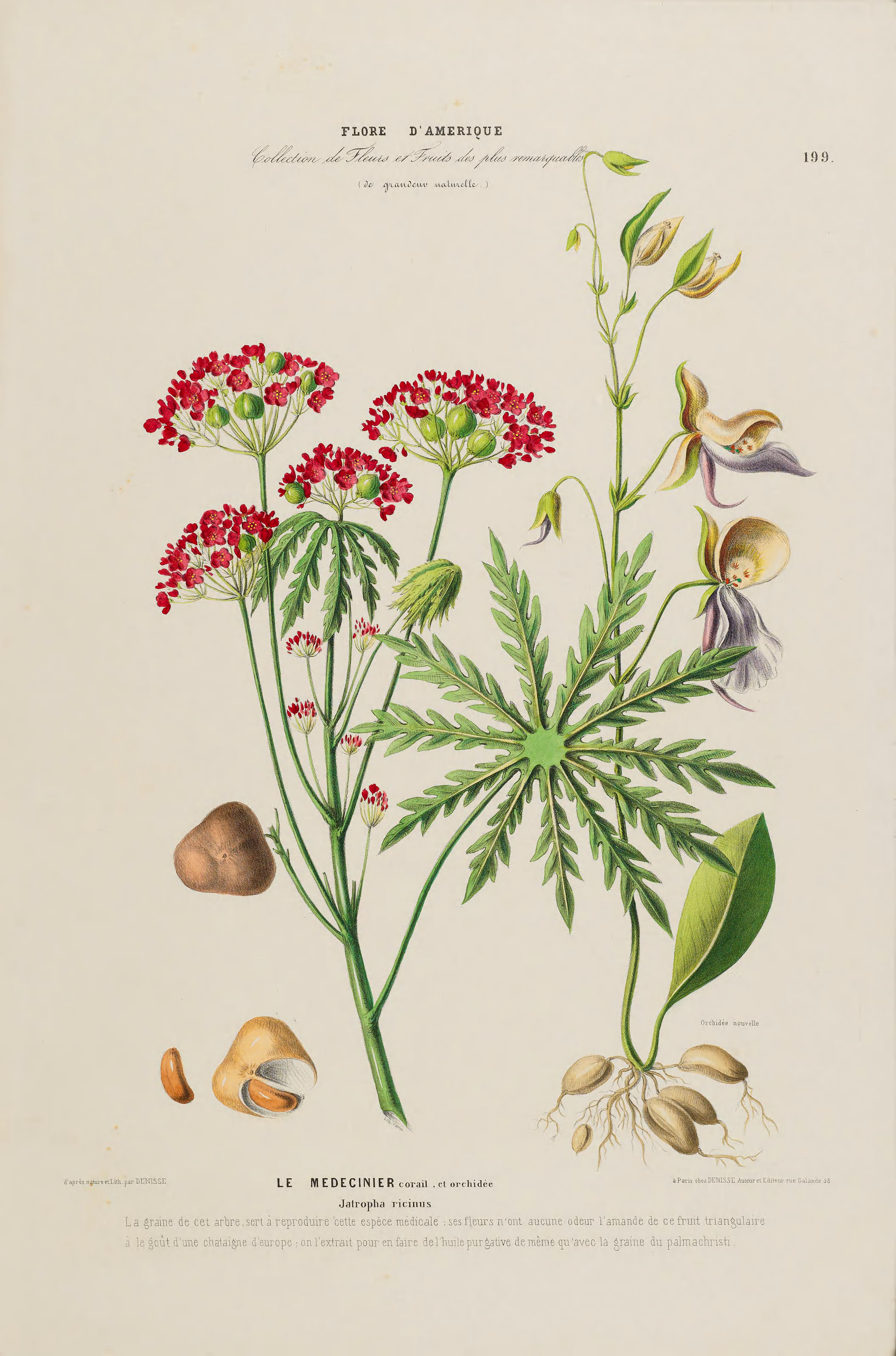 no full size  illustration available (3a)