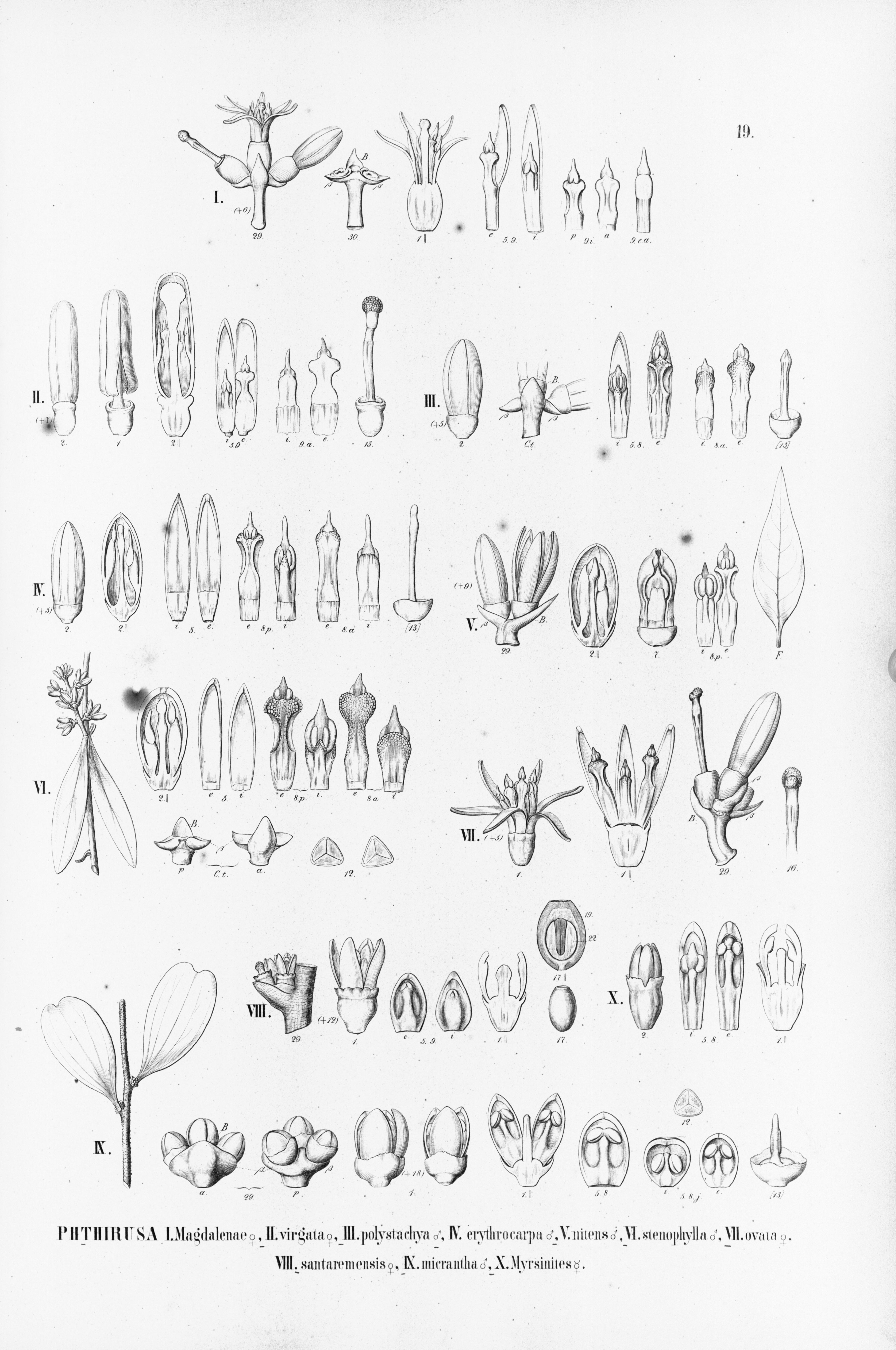 no full size  illustration available (3a)