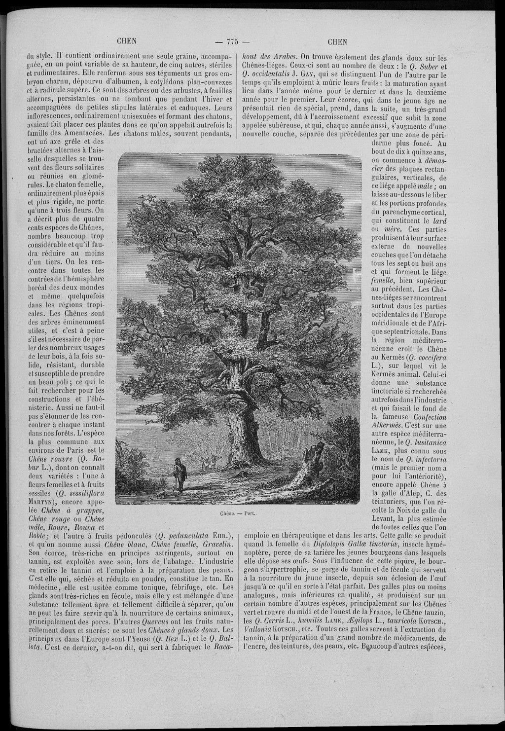 no full size  illustration available (3a)