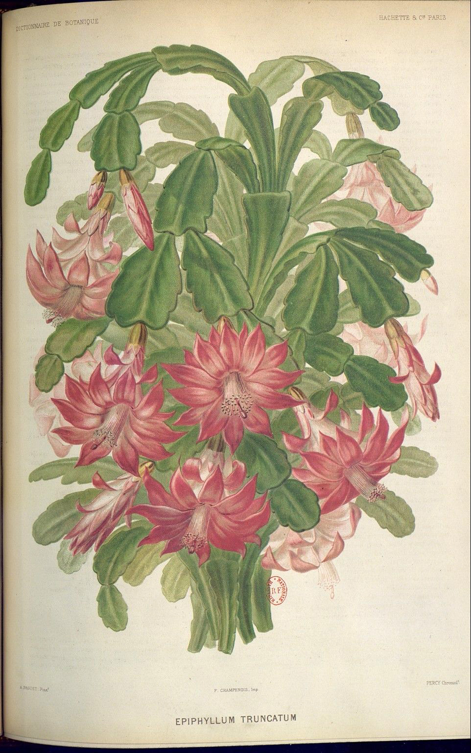 no full size  illustration available (3a)