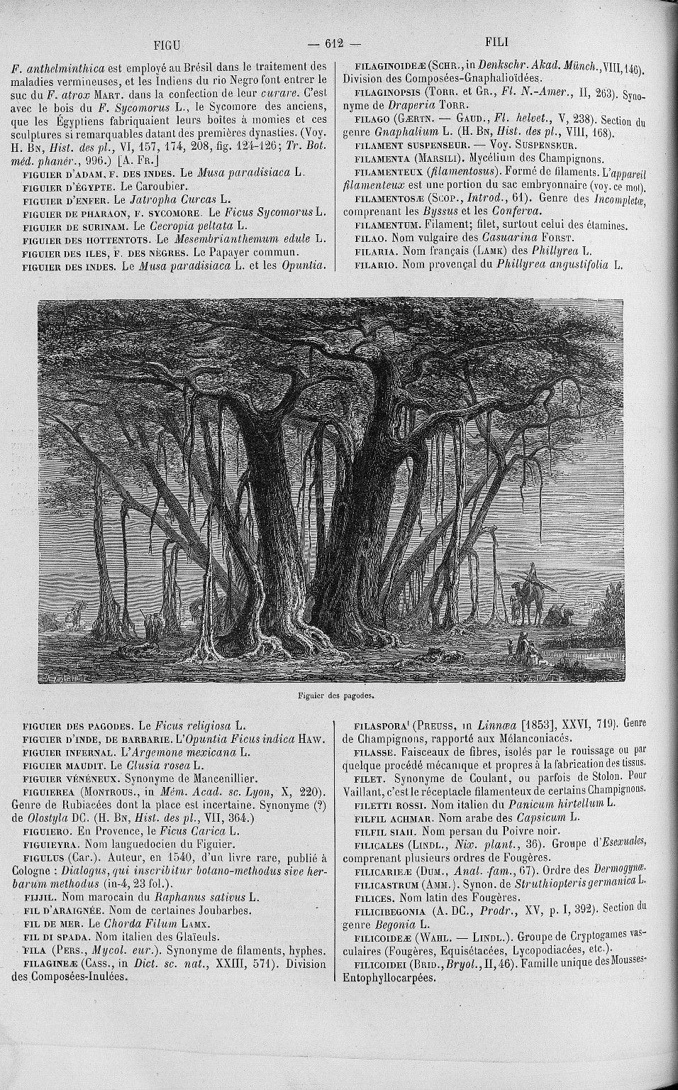 no full size  illustration available (3a)