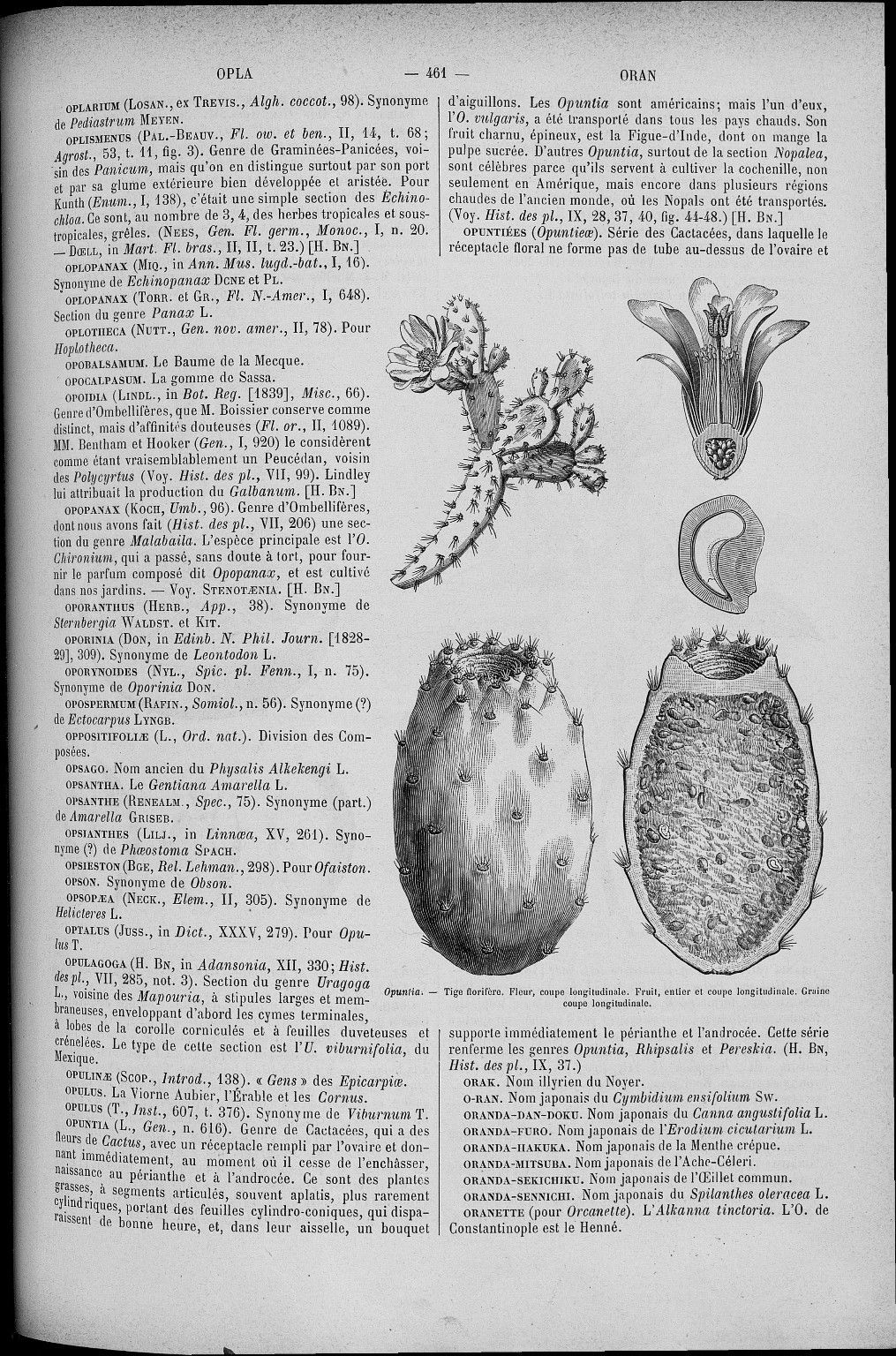 no full size  illustration available (3a)