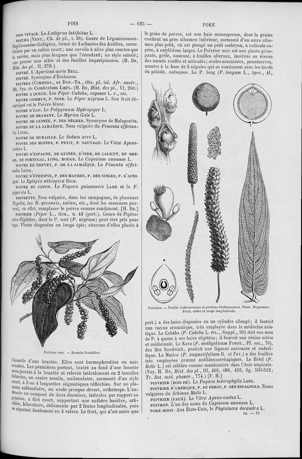 no full size  illustration available (3a)