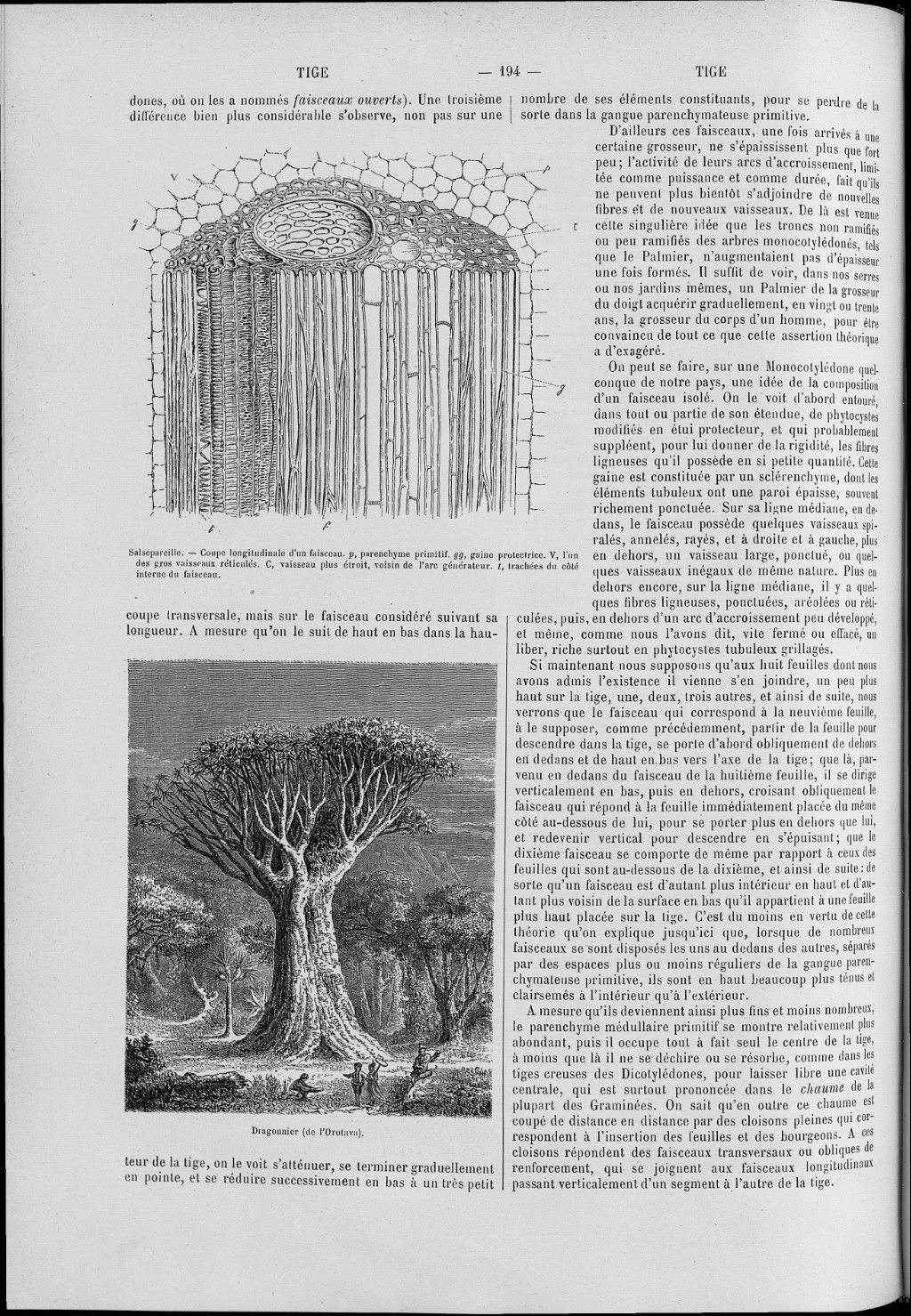 no full size  illustration available (3a)