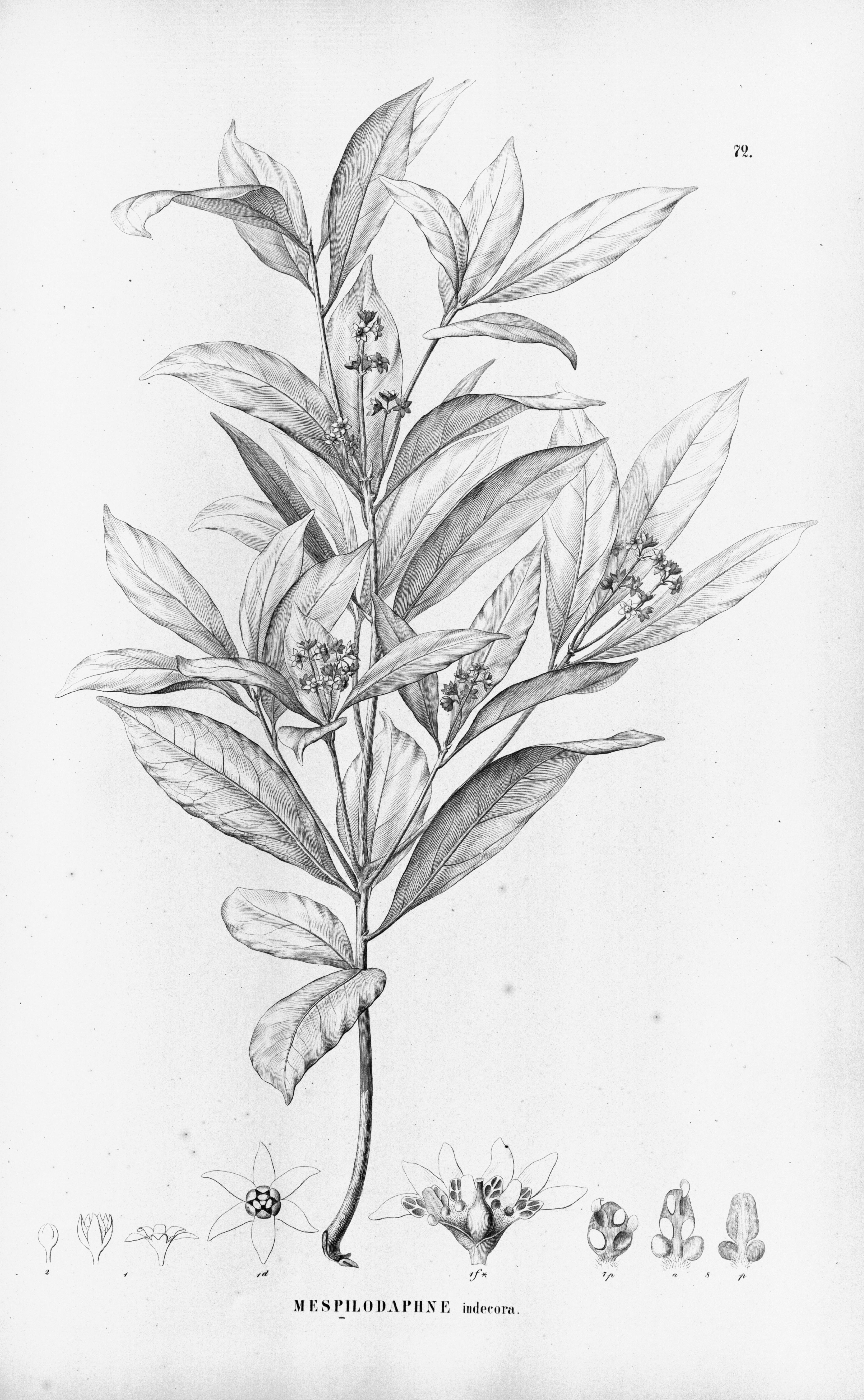 no full size  illustration available (3a)