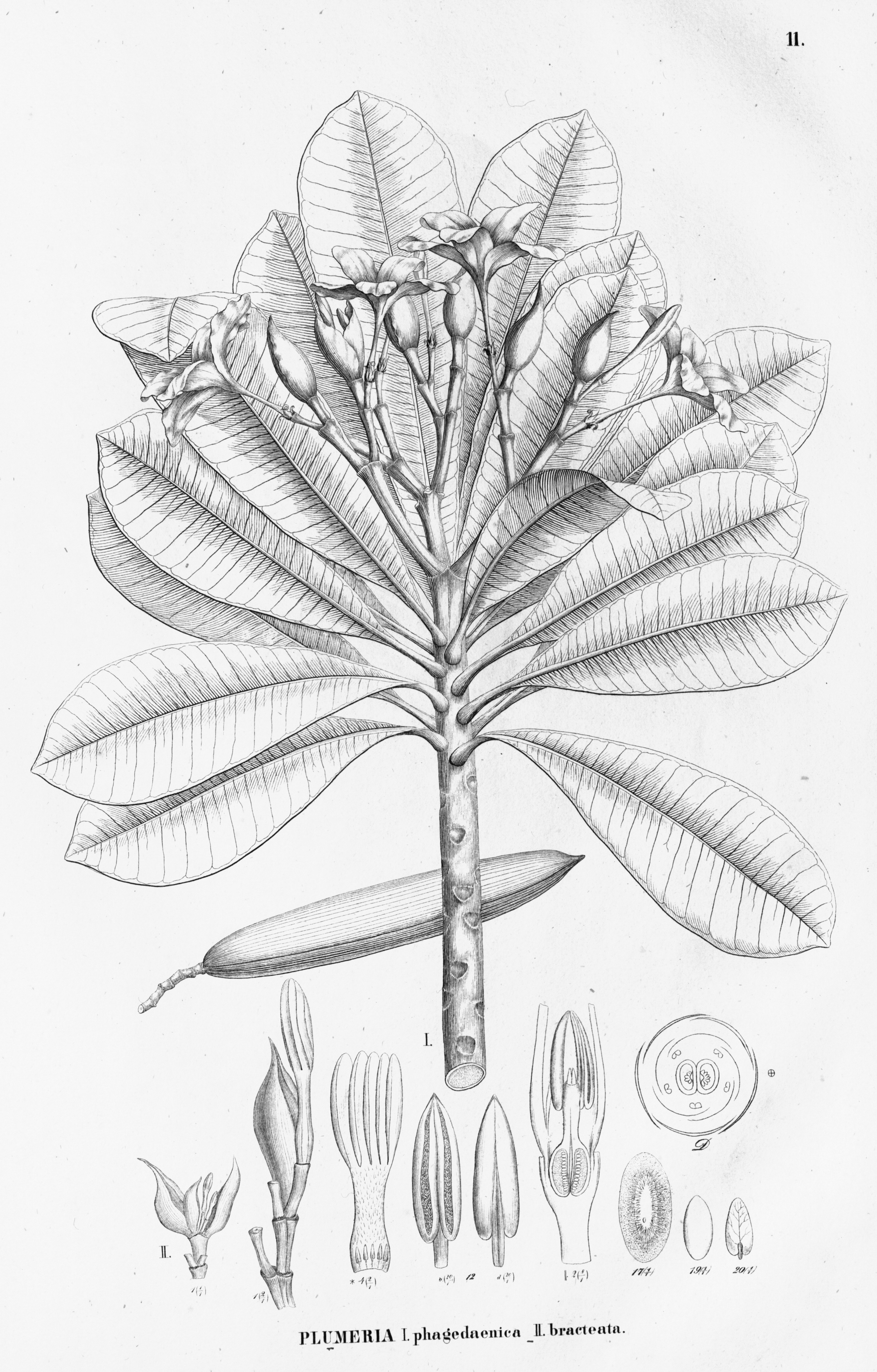 no full size  illustration available (3a)