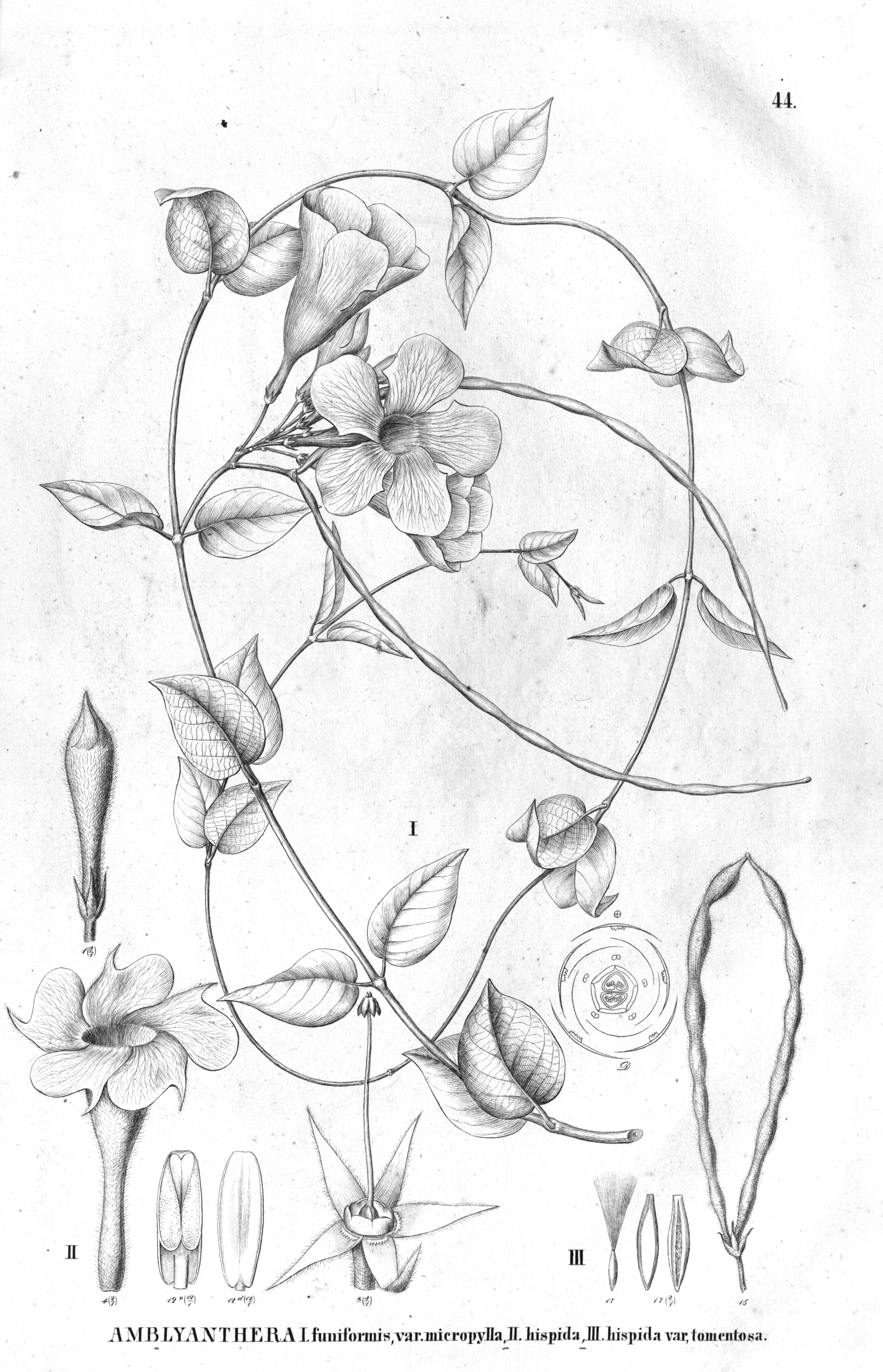 no full size  illustration available (3a)