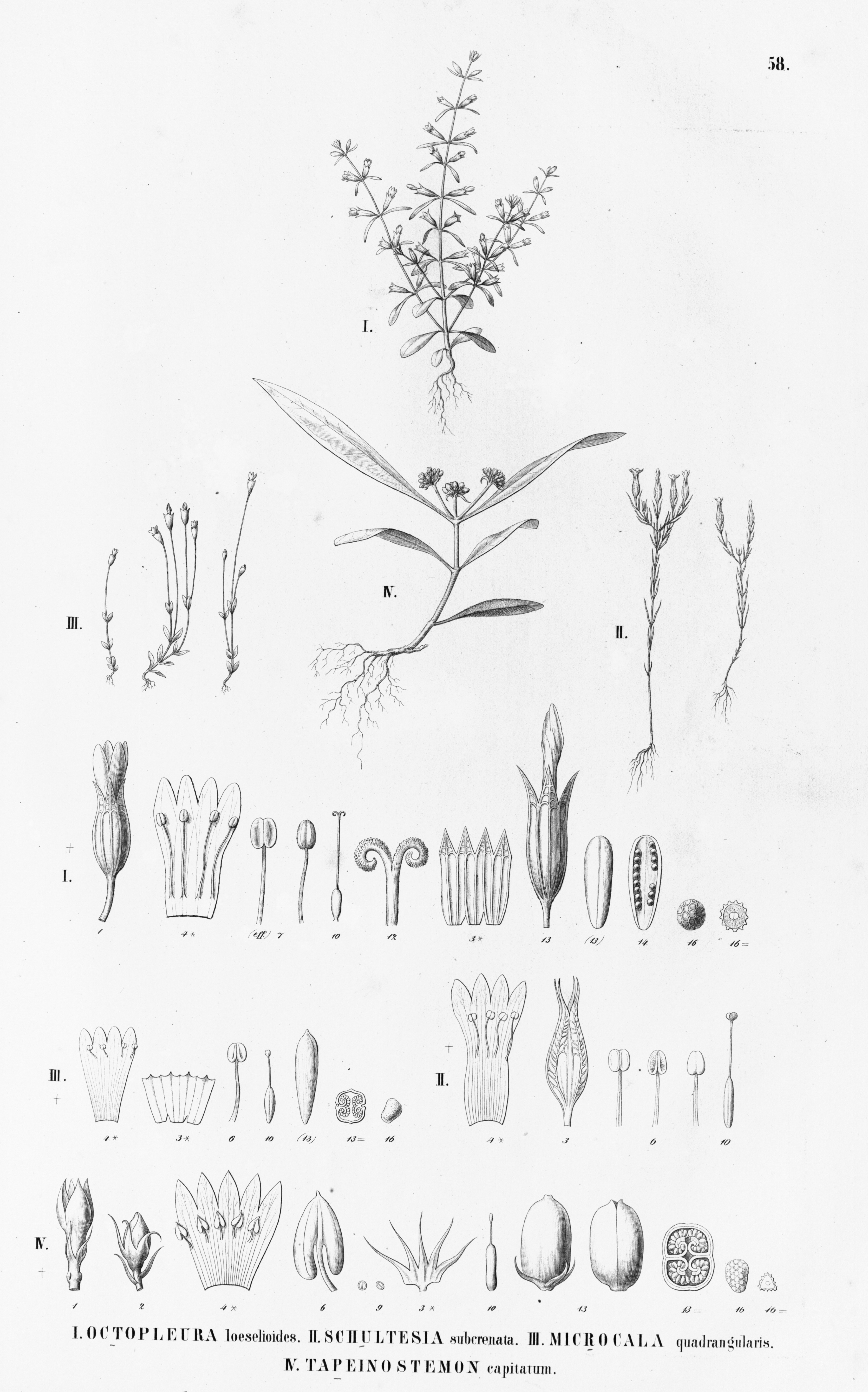 no full size  illustration available (3a)