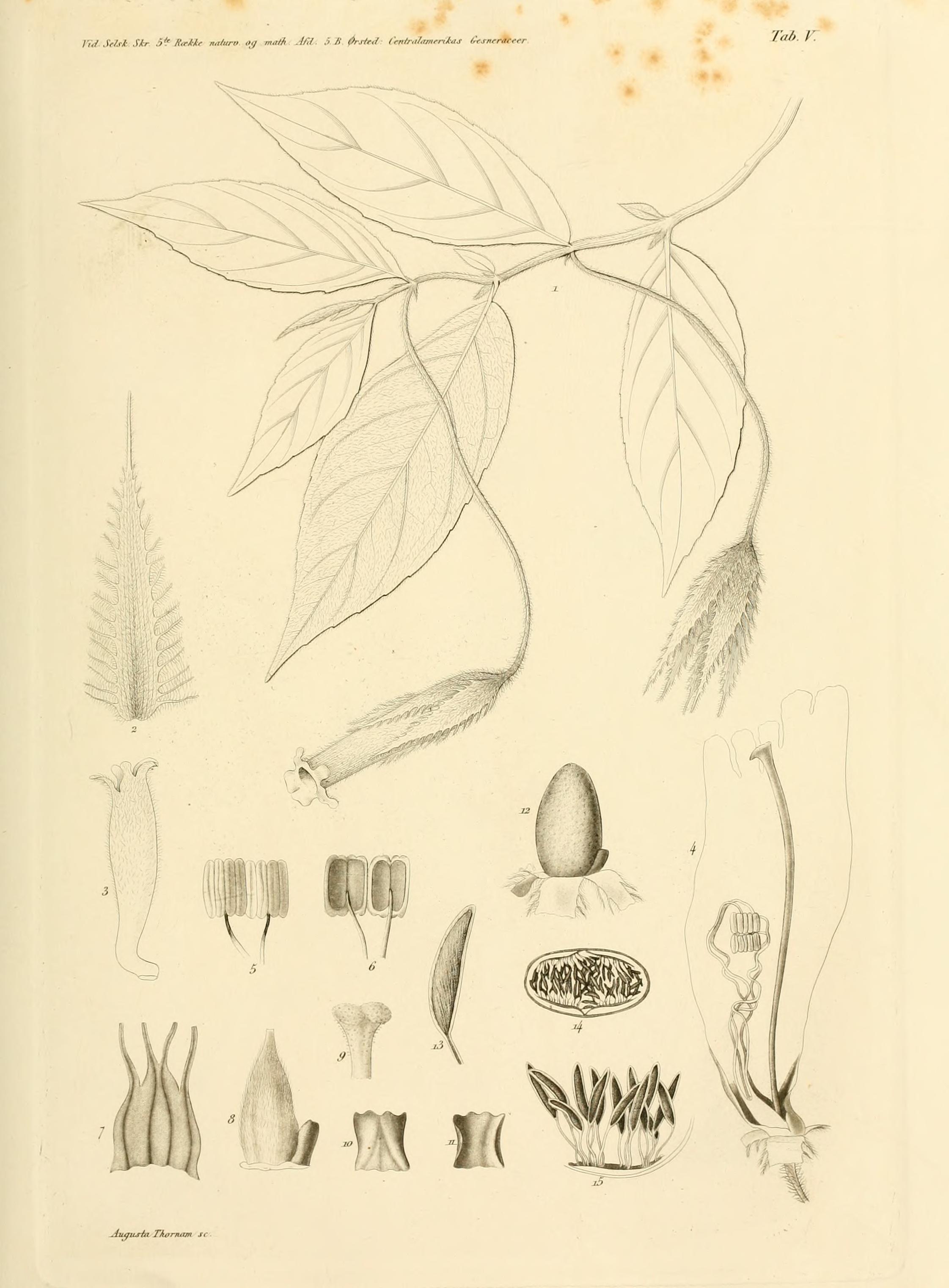 no full size  illustration available (3a)