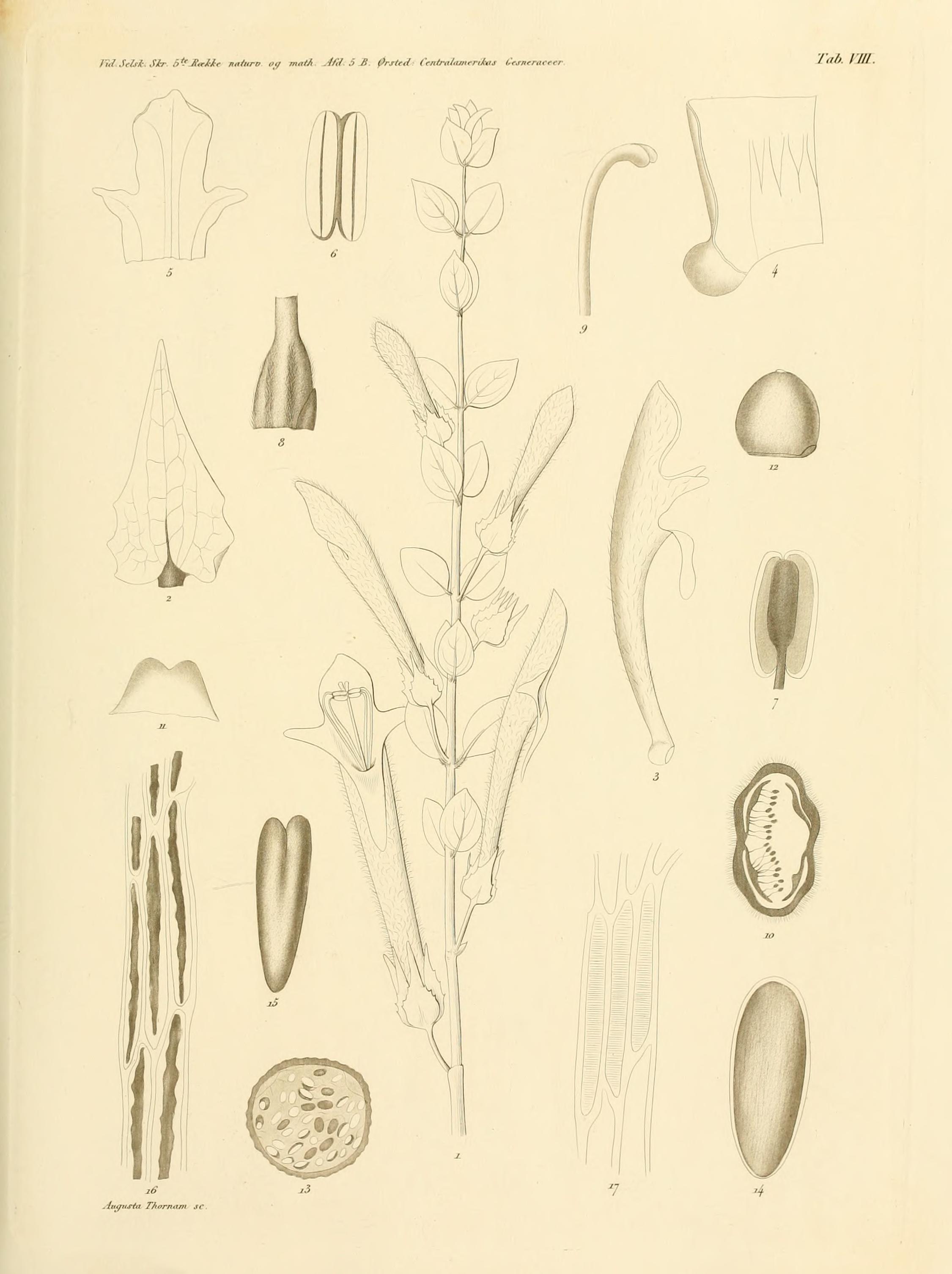 no full size  illustration available (3a)