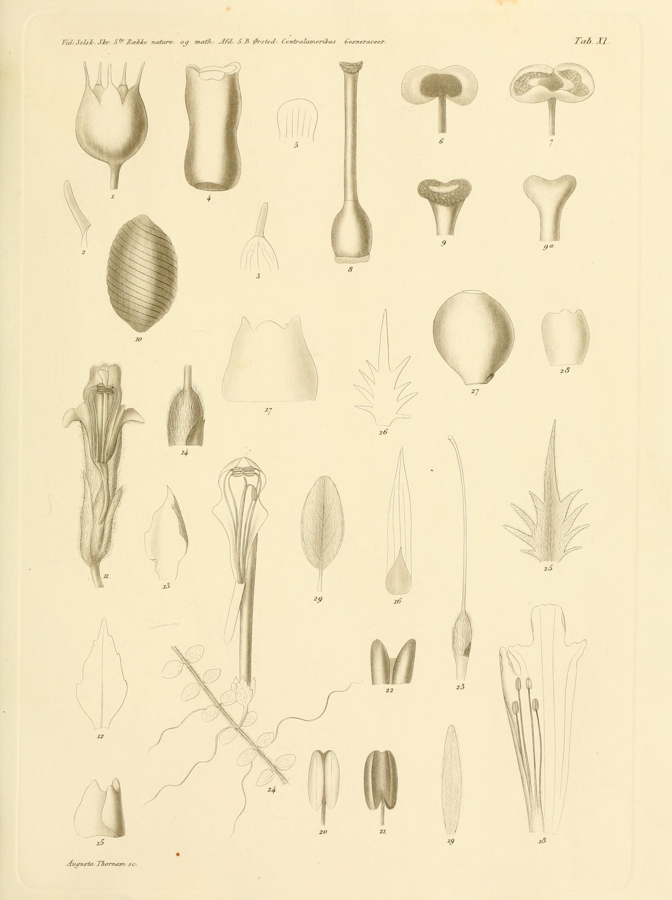 no full size  illustration available (3a)