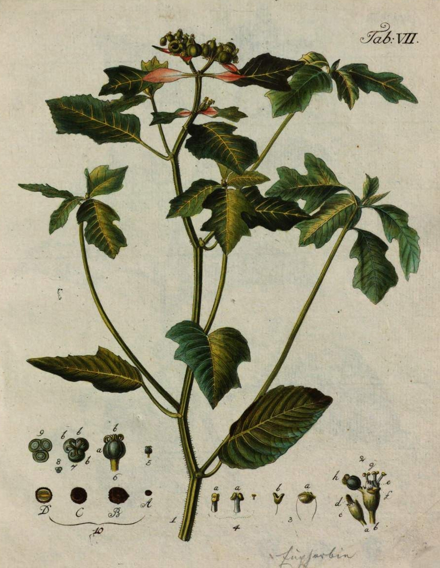 no full size  illustration available (3a)