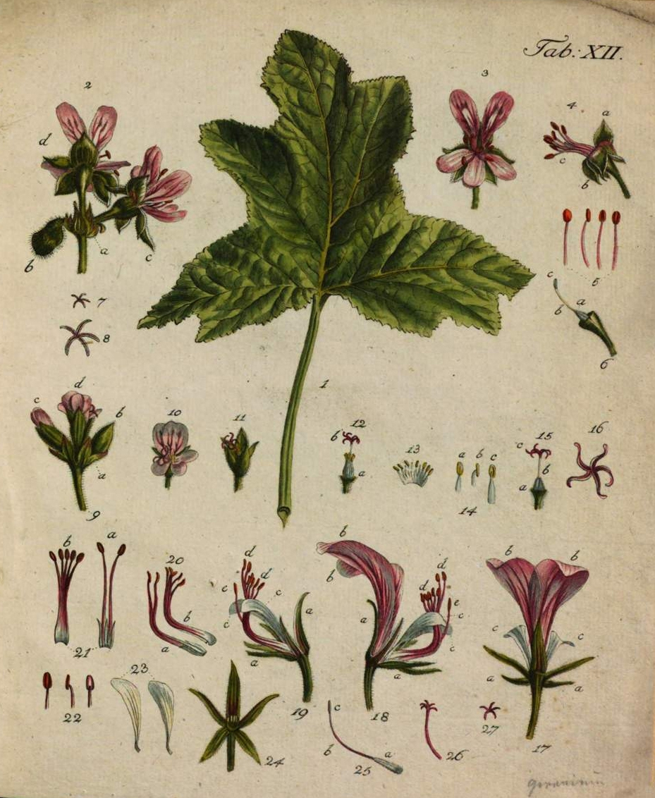 no full size  illustration available (3a)