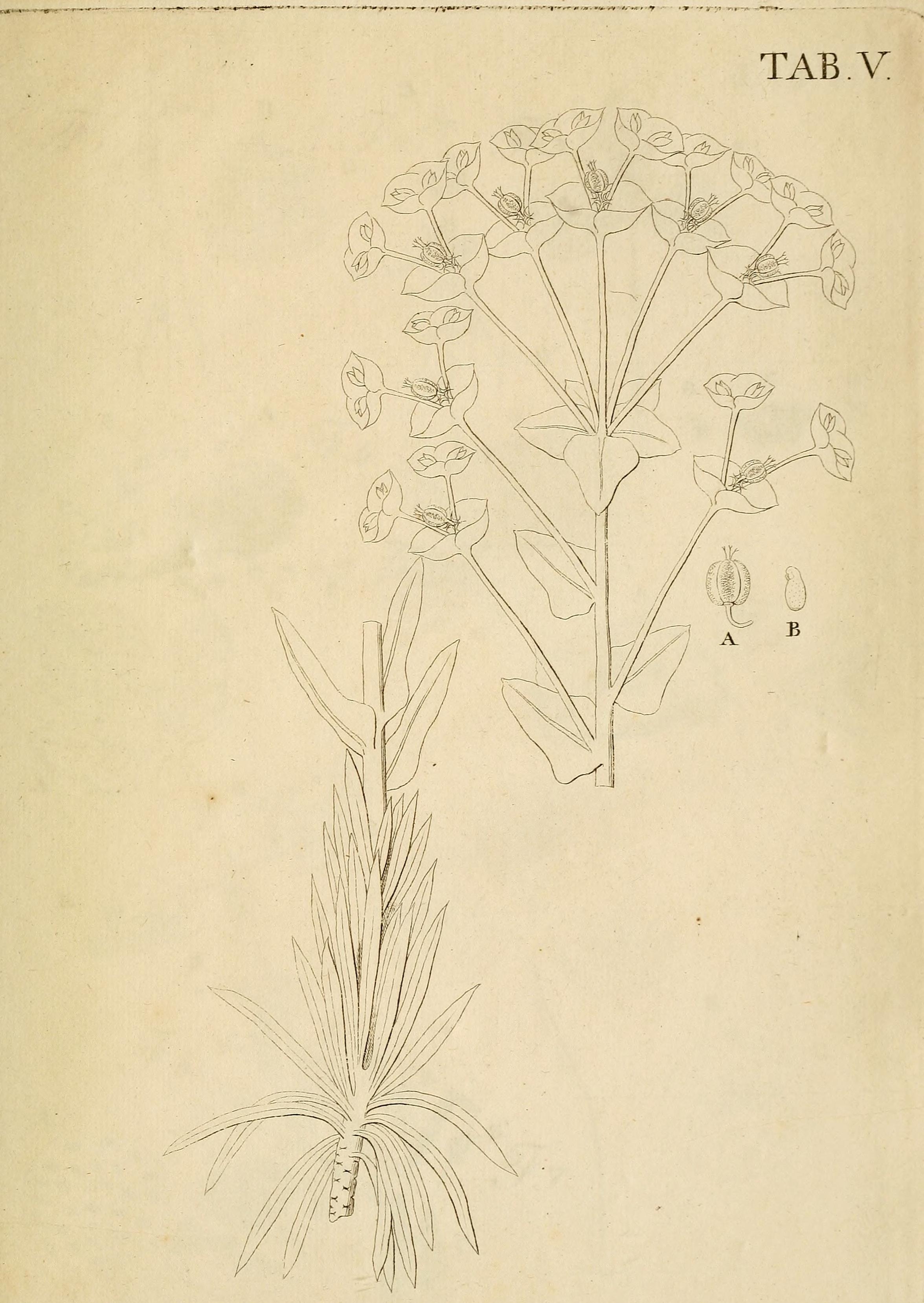 no full size  illustration available (3a)