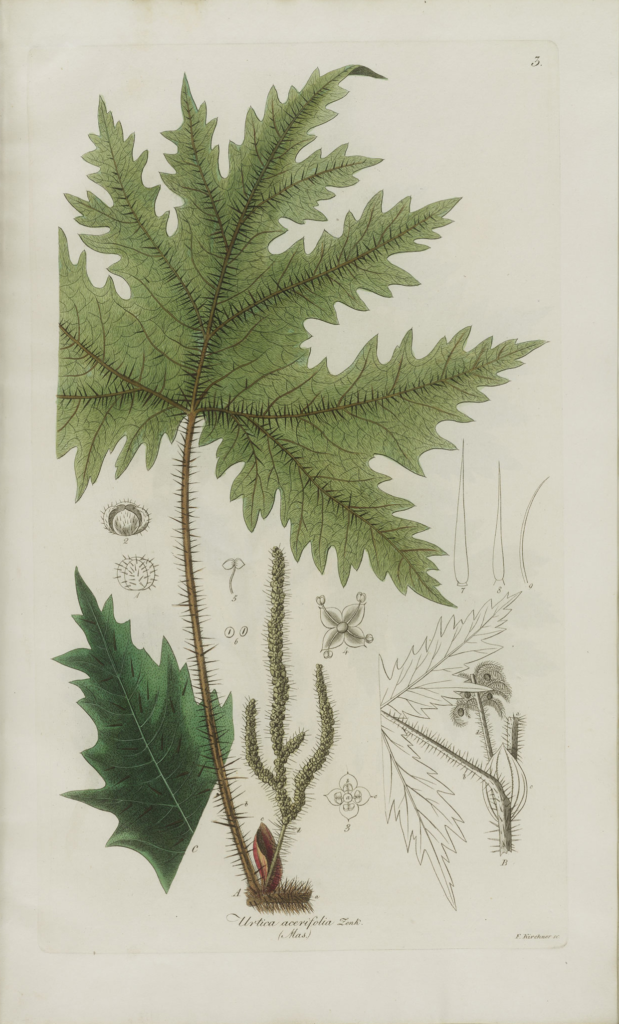 no full size  illustration available (3a)