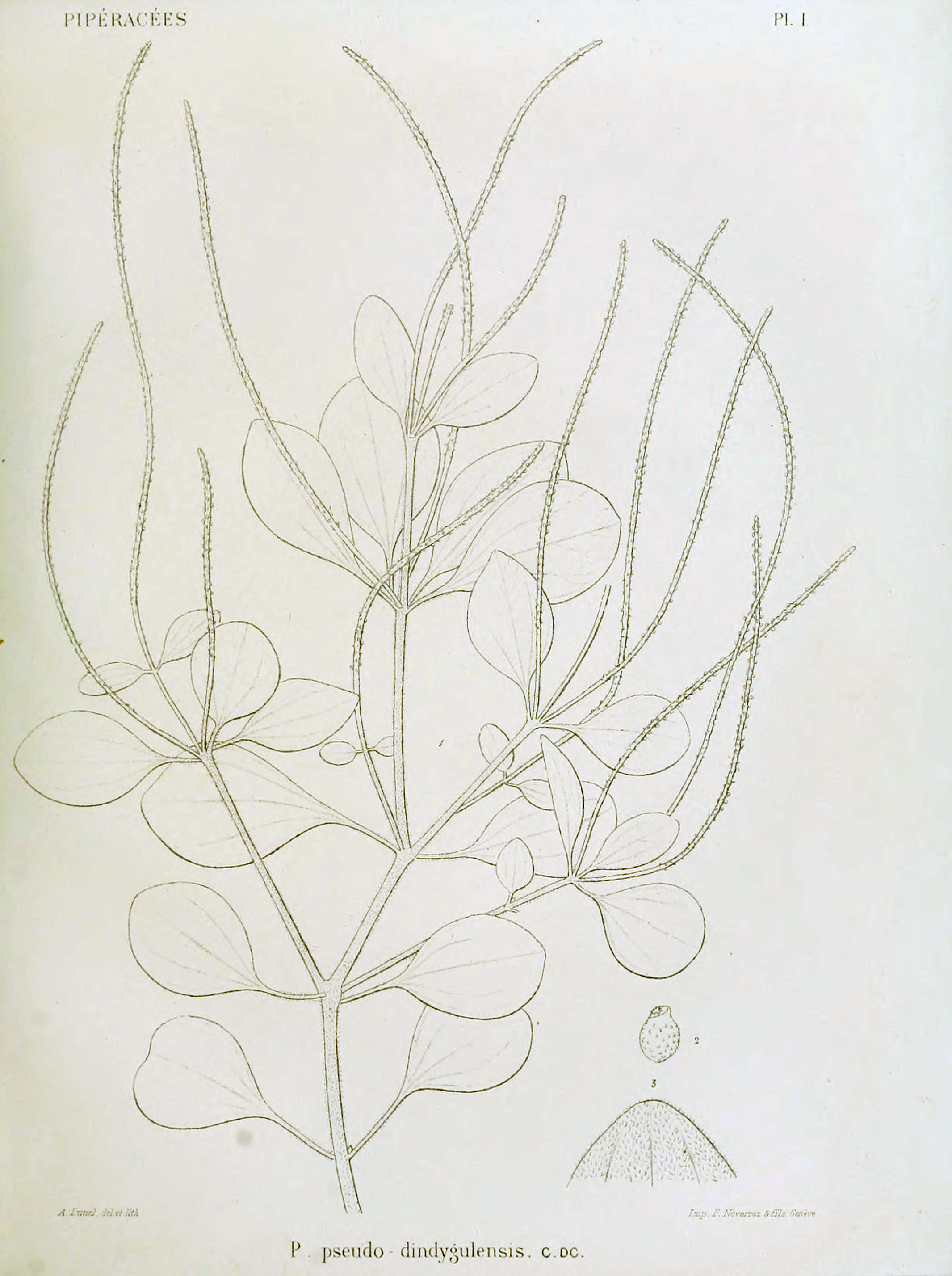 no full size  illustration available (3a)