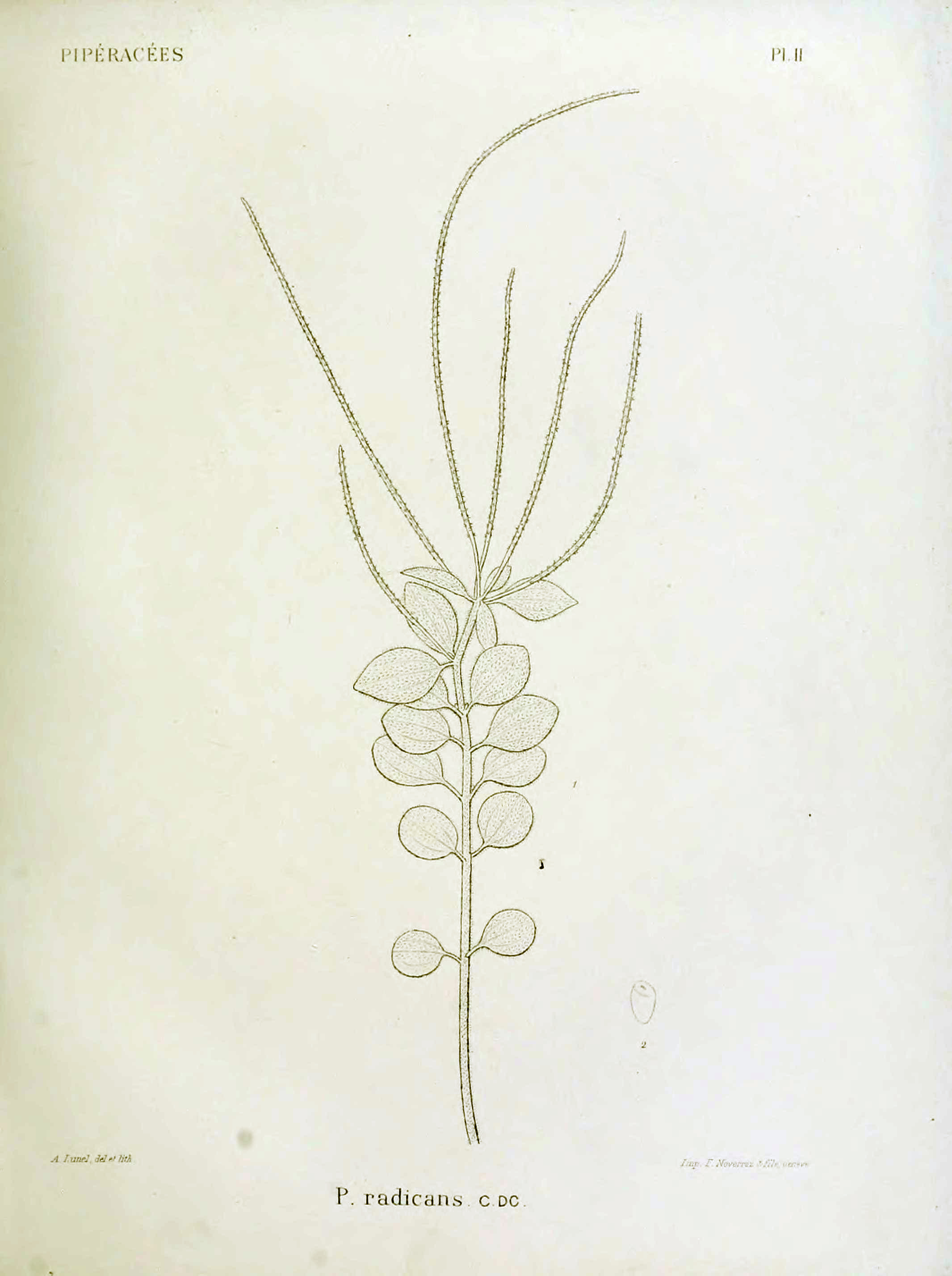 no full size  illustration available (3a)