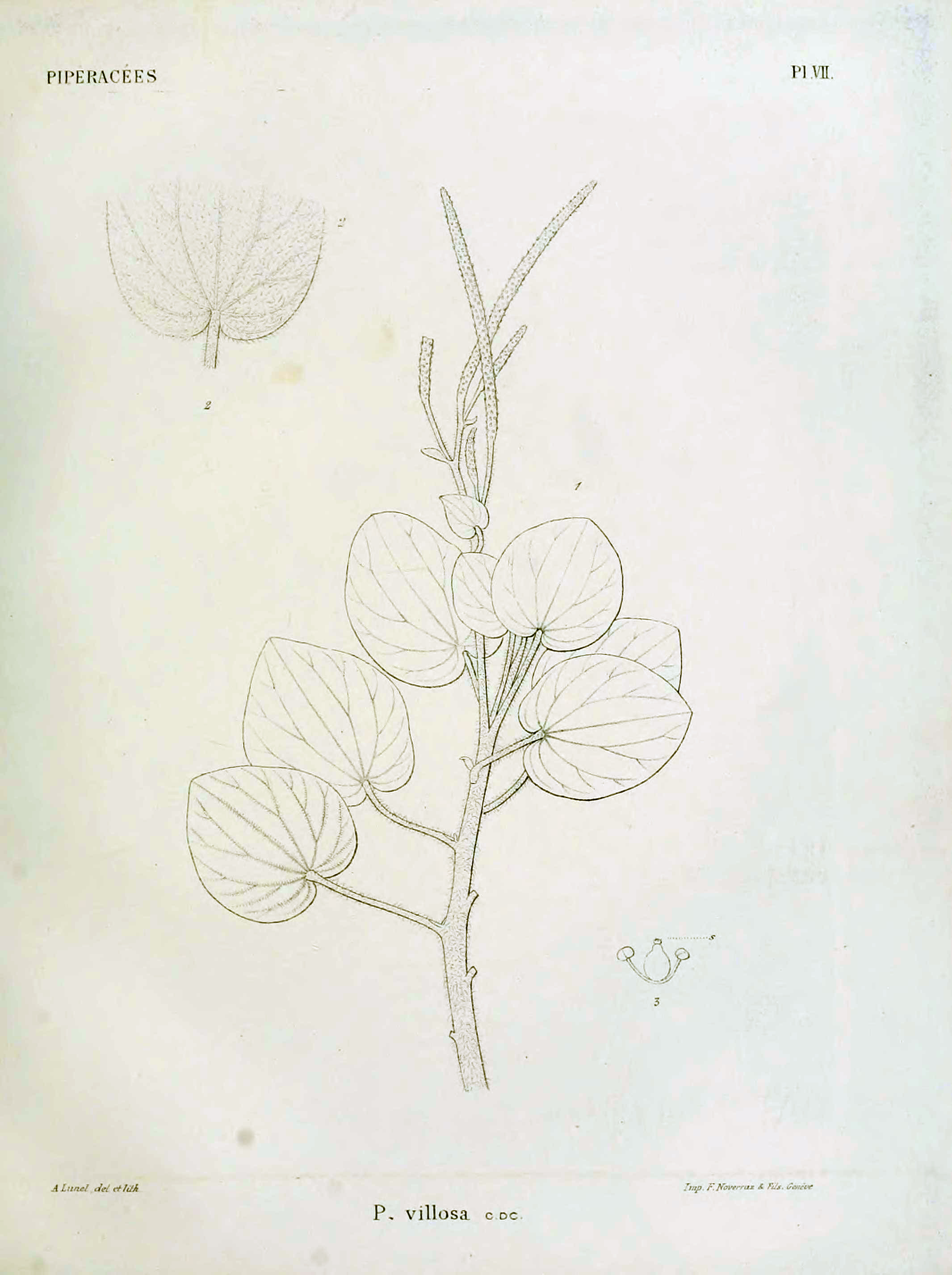 no full size  illustration available (3a)