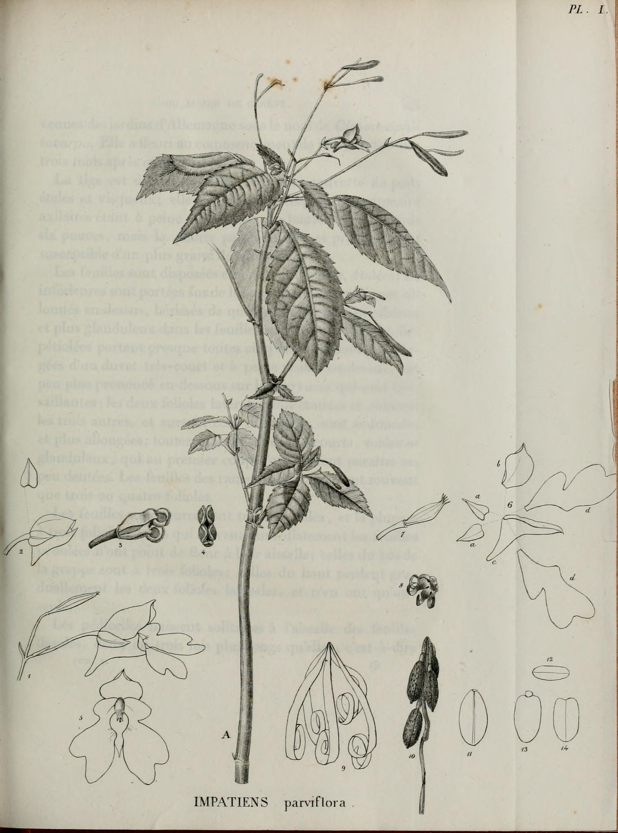 no full size  illustration available (3a)