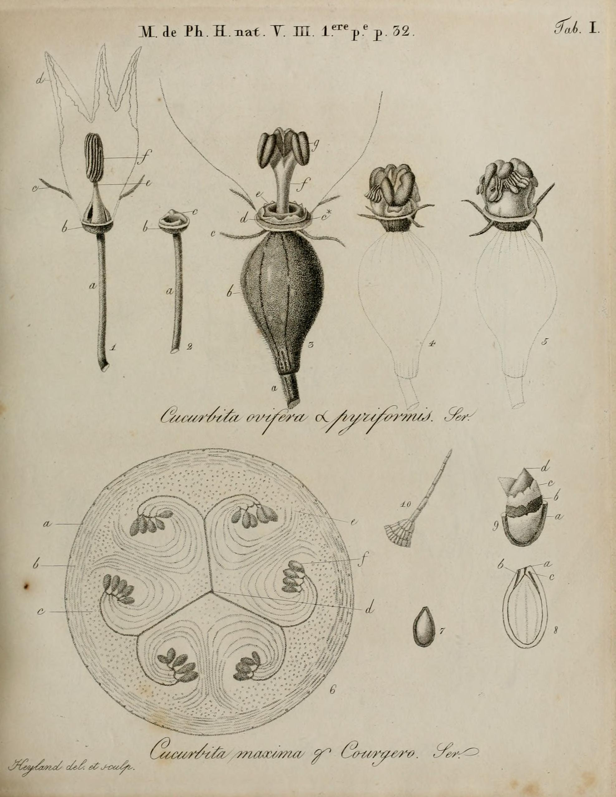 no full size  illustration available (3a)