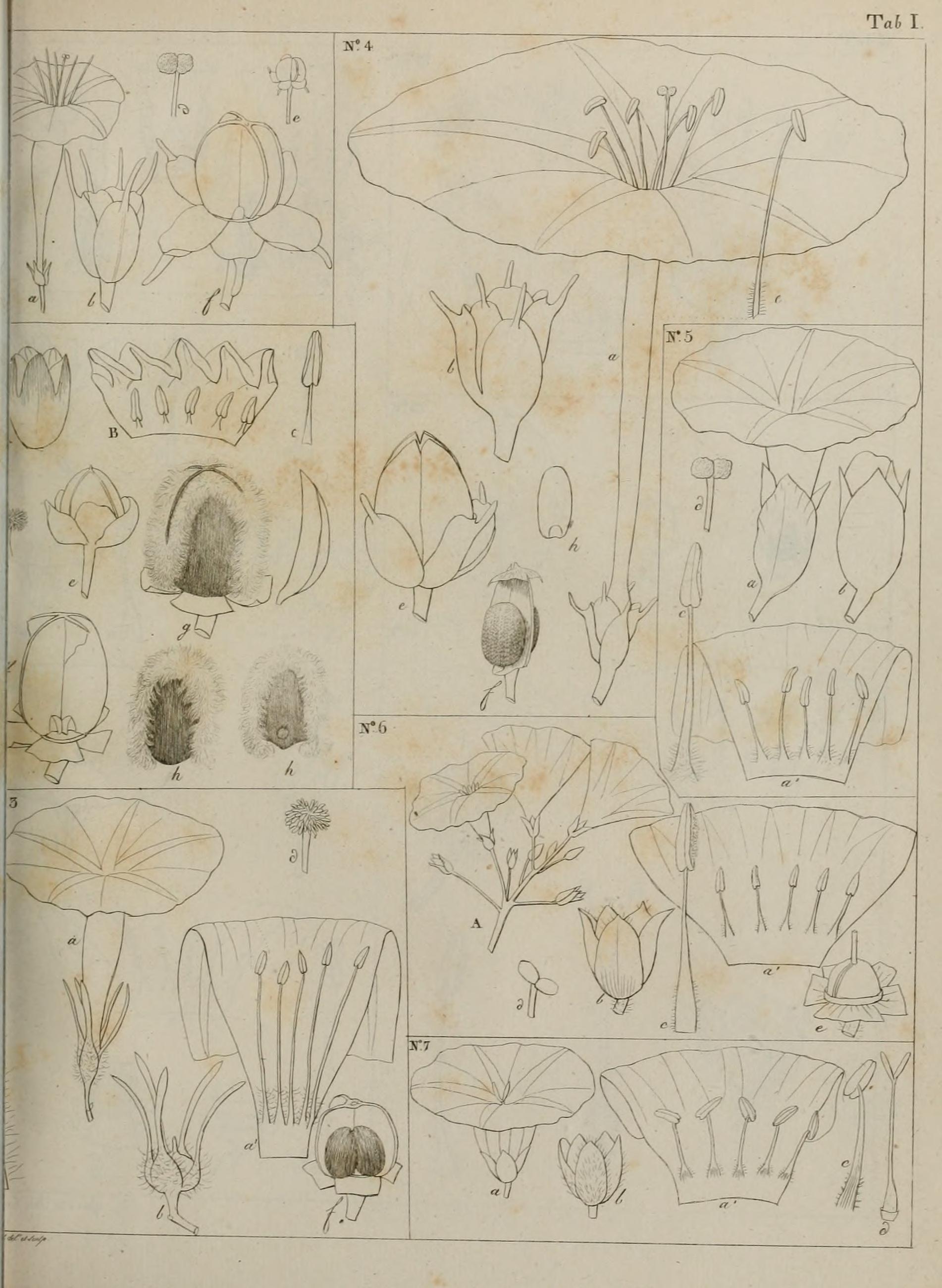 no full size  illustration available (3a)