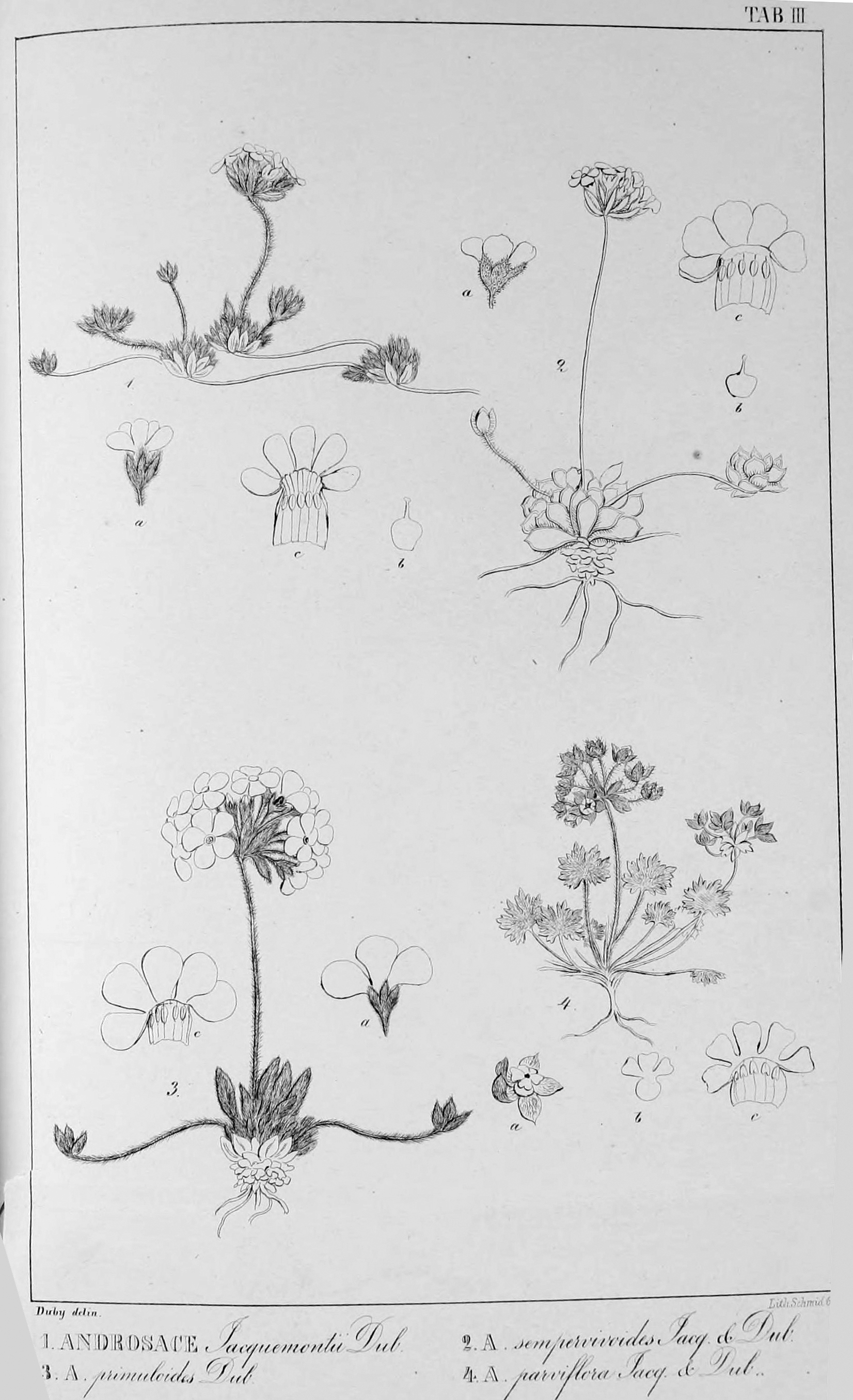 no full size  illustration available (3a)