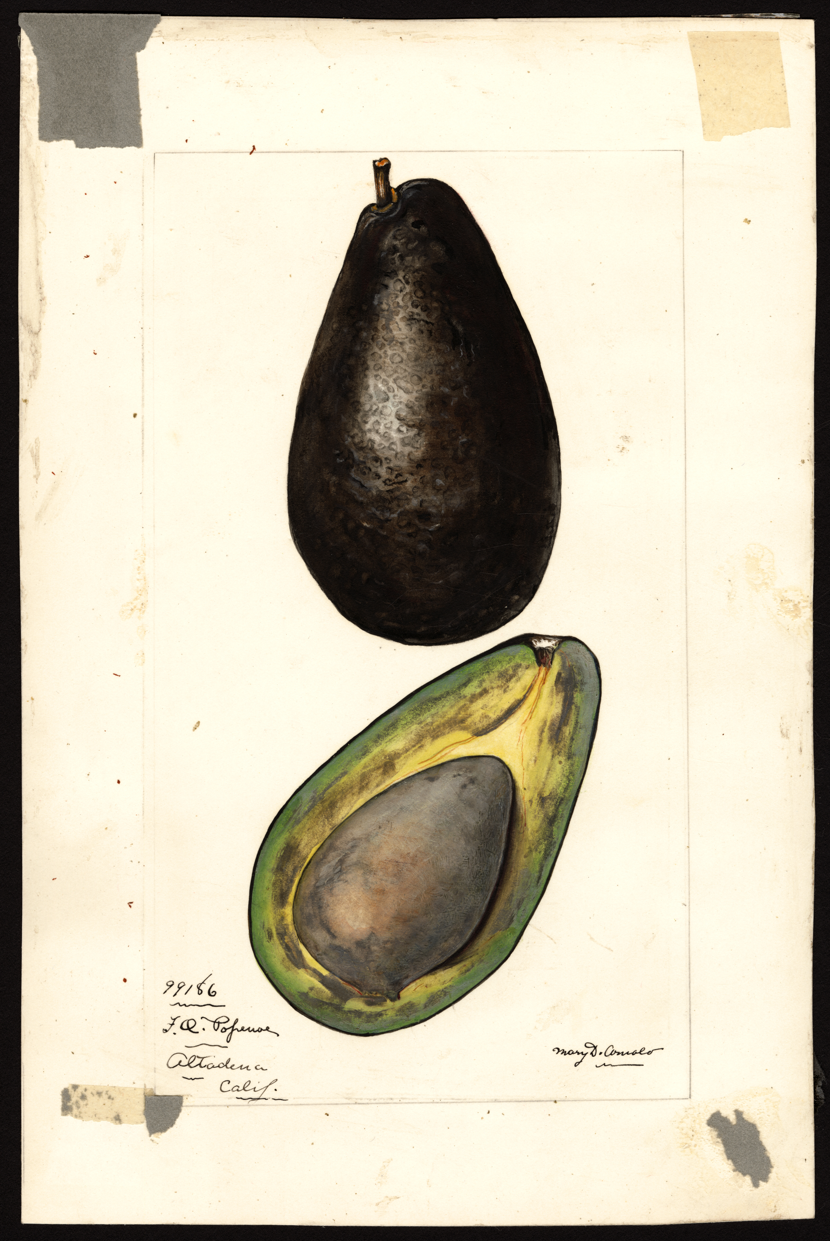 no full size  illustration available (3a)