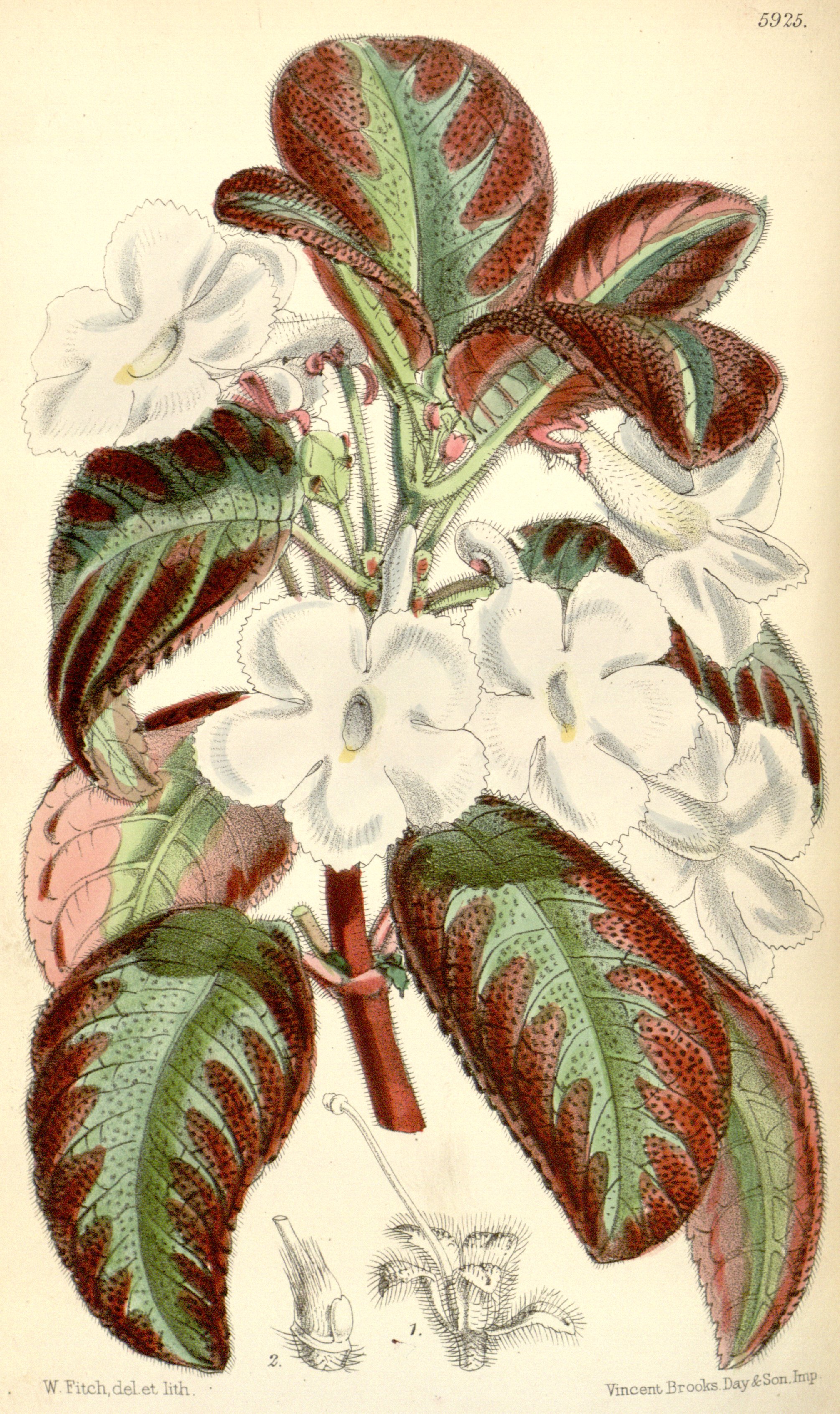 no full size  illustration available (3a)